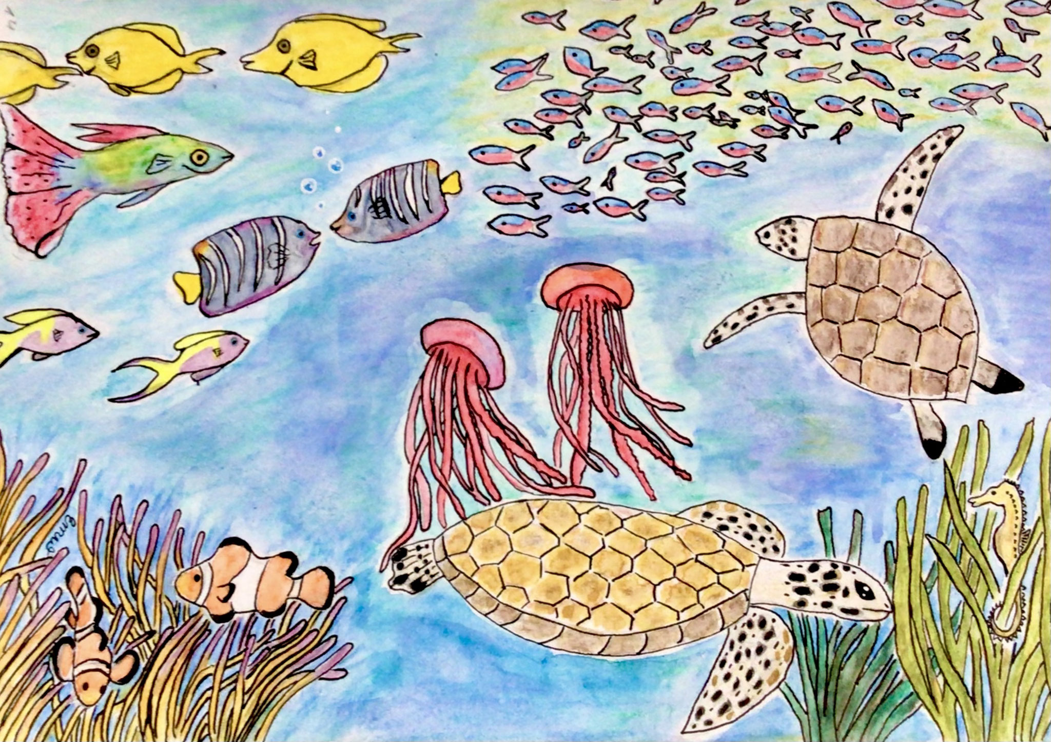 Aquarium