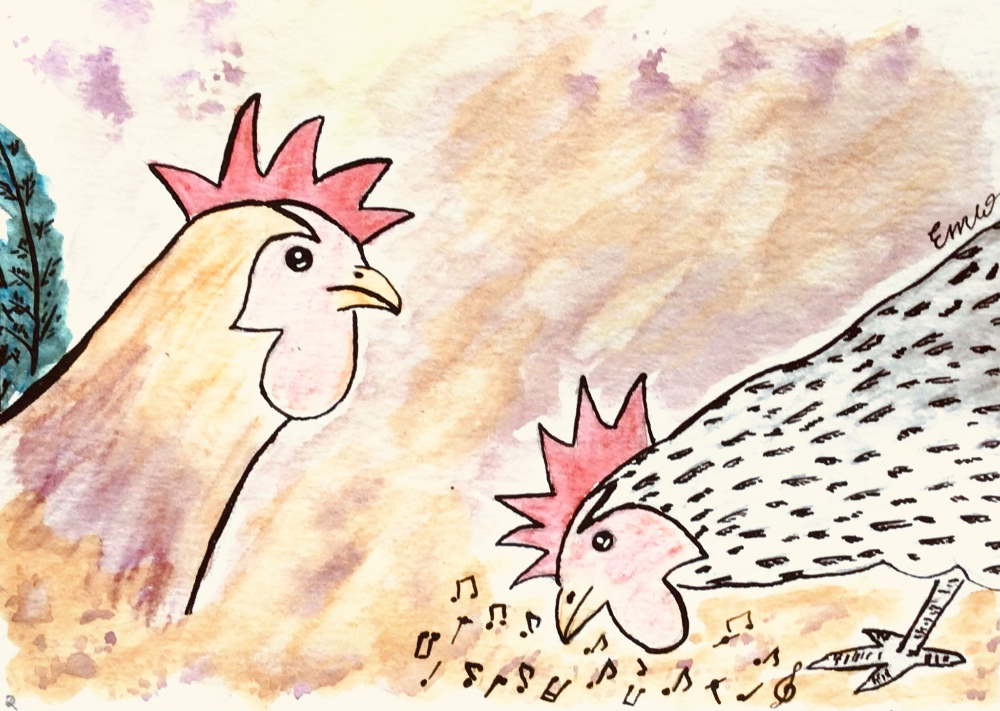 Poules et coqs 