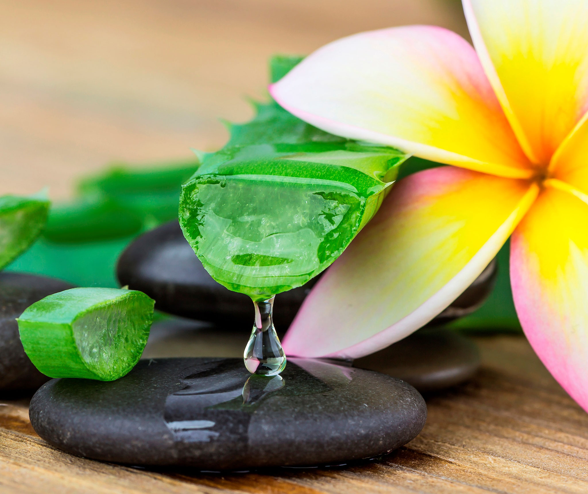 Aloe Vera Massage Thai Wellness Massage in Palma Mallorca