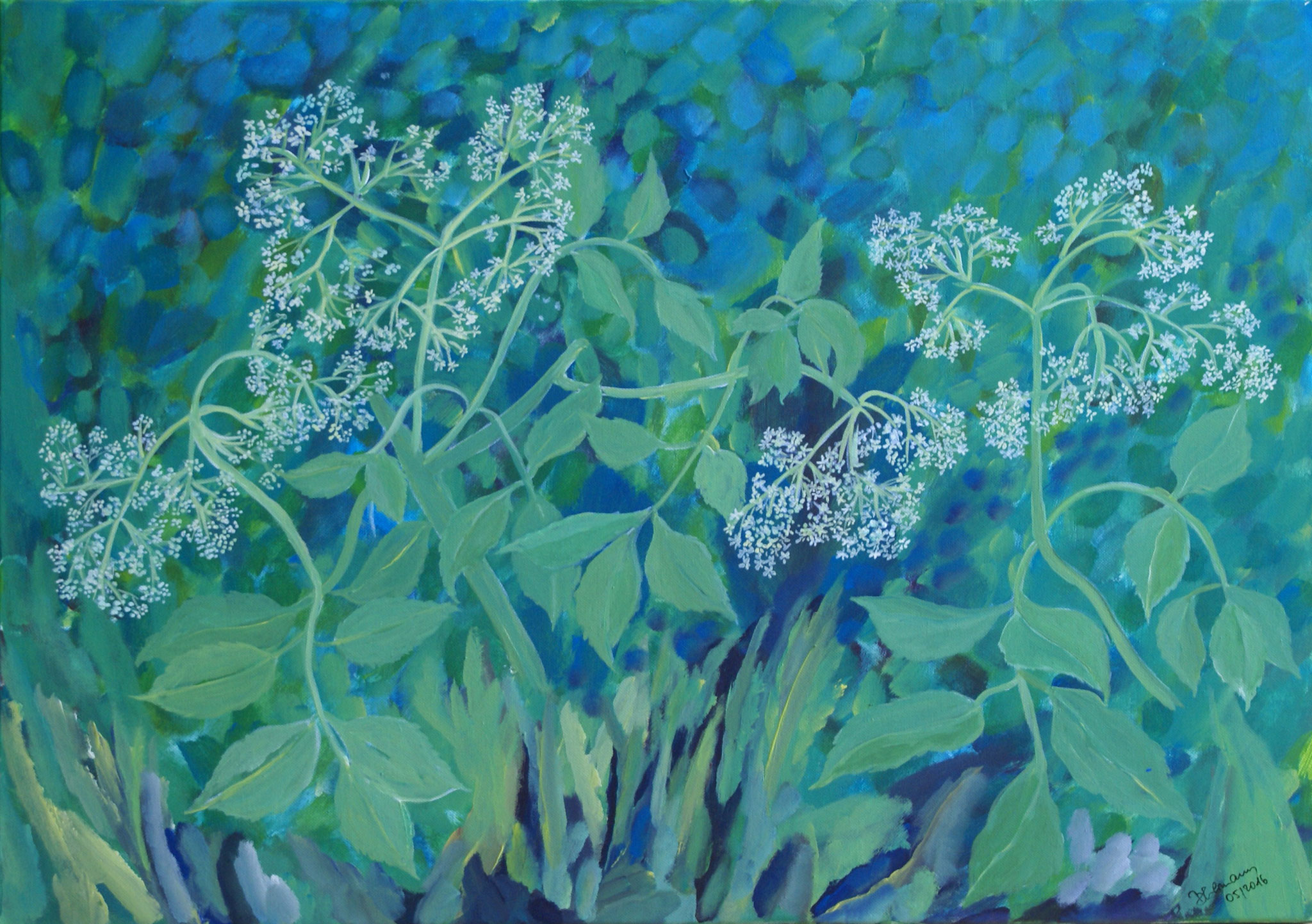 WVZ 429 2016 Holunder Acryl 50x70