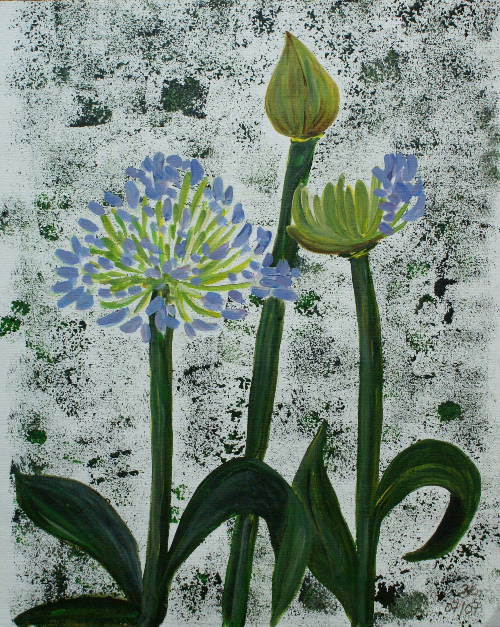 WVZ 104 2007 07 002 Allium Tempera Druck 28x35