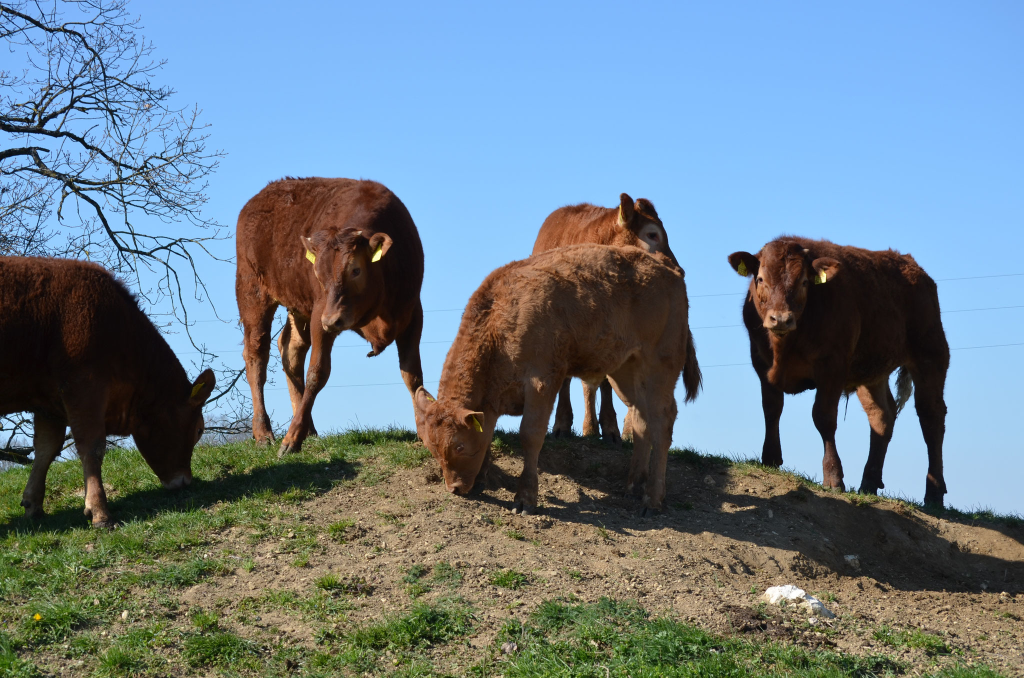 ... oder die Aussicht vom kleinen Hügel aus genossen werden