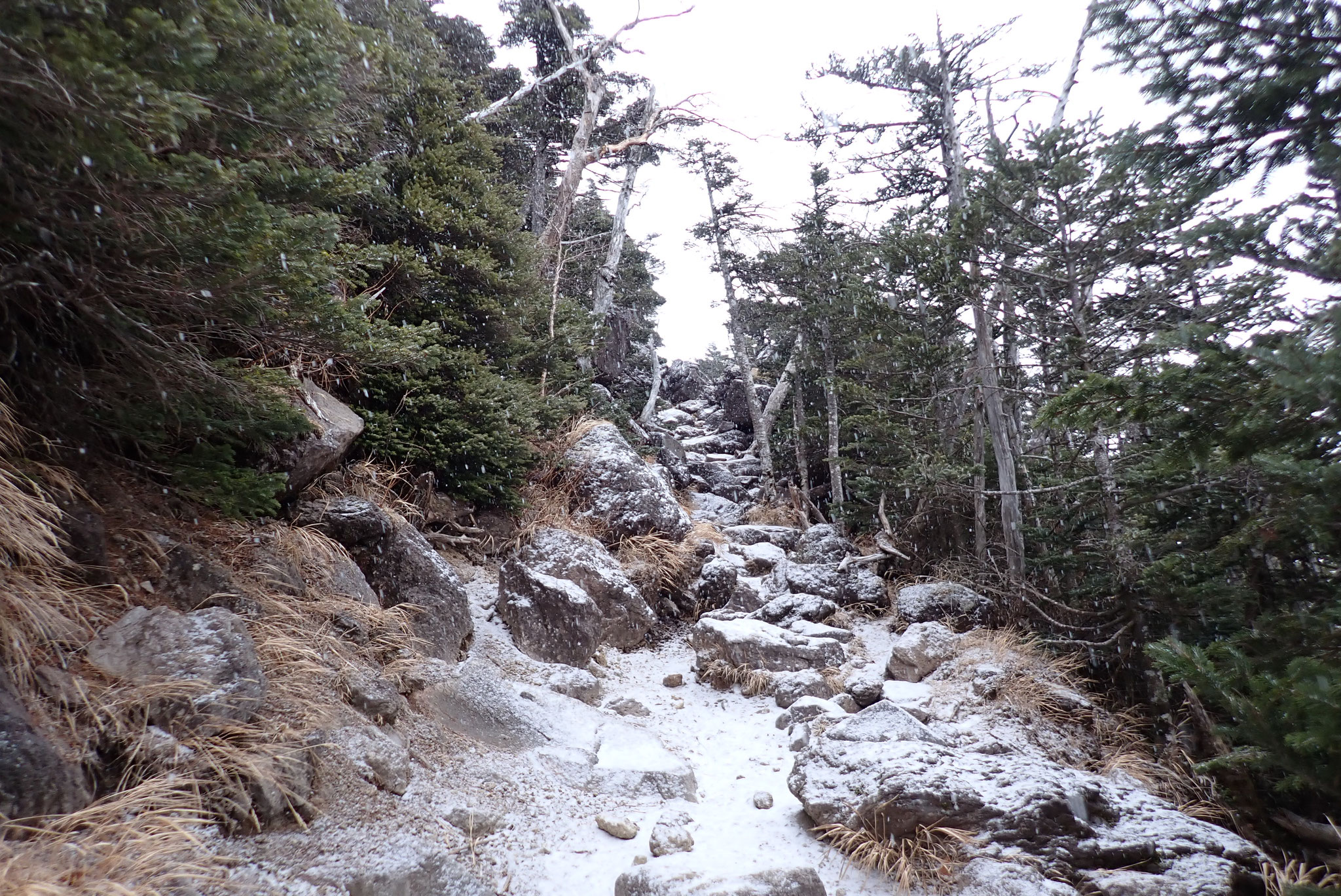 北横岳登山道