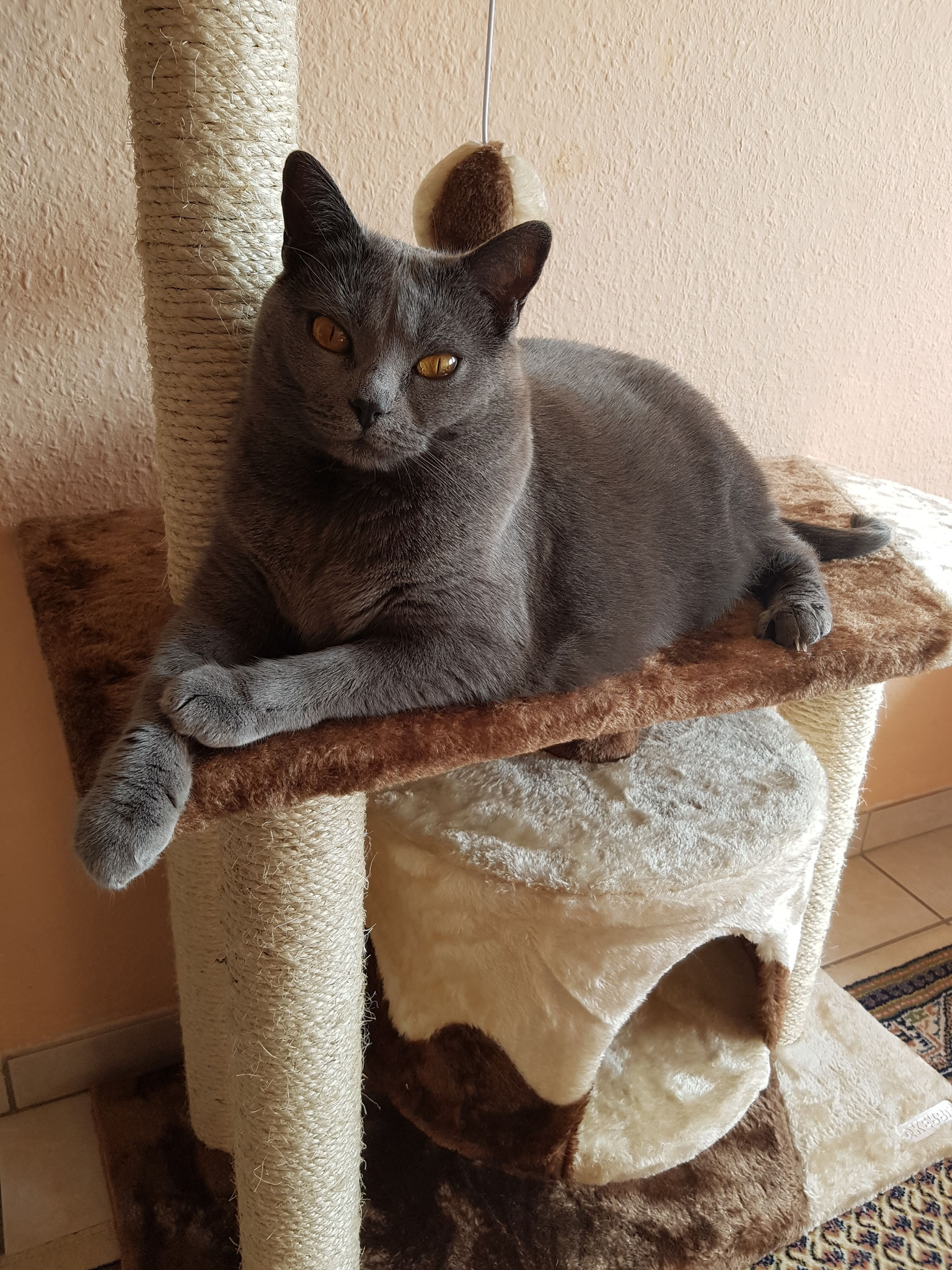 Amy mit 7 Jahren