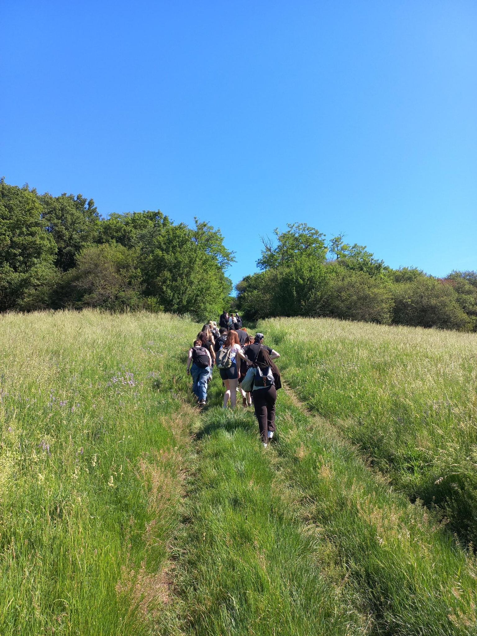 Der 1. AL erklimmt den Satzberg! Schön ist's im Wienerwald!