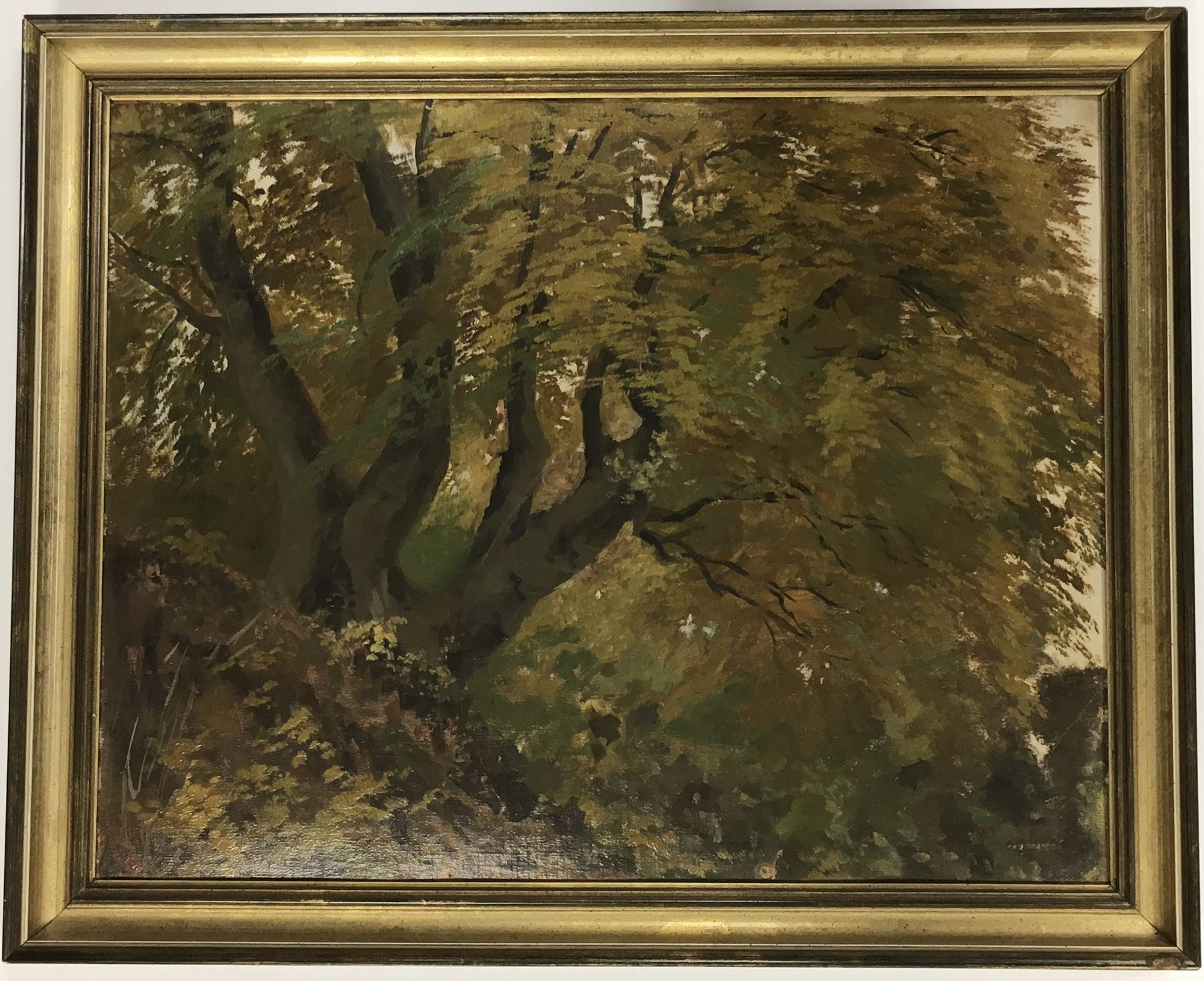 Kornbeck, Original Ölbild "Baum"  Größe/Falzmaß: 50x40 € 1.120,-