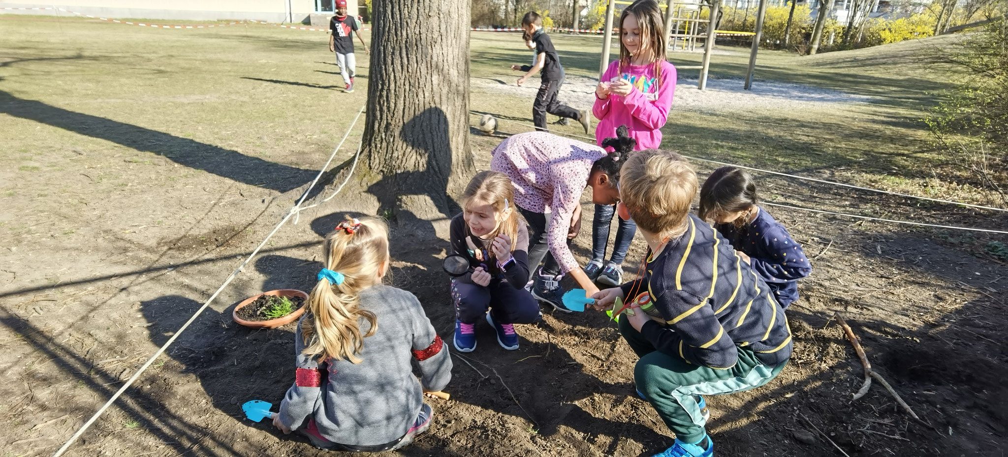 Regenwürmer suchen in der Erde