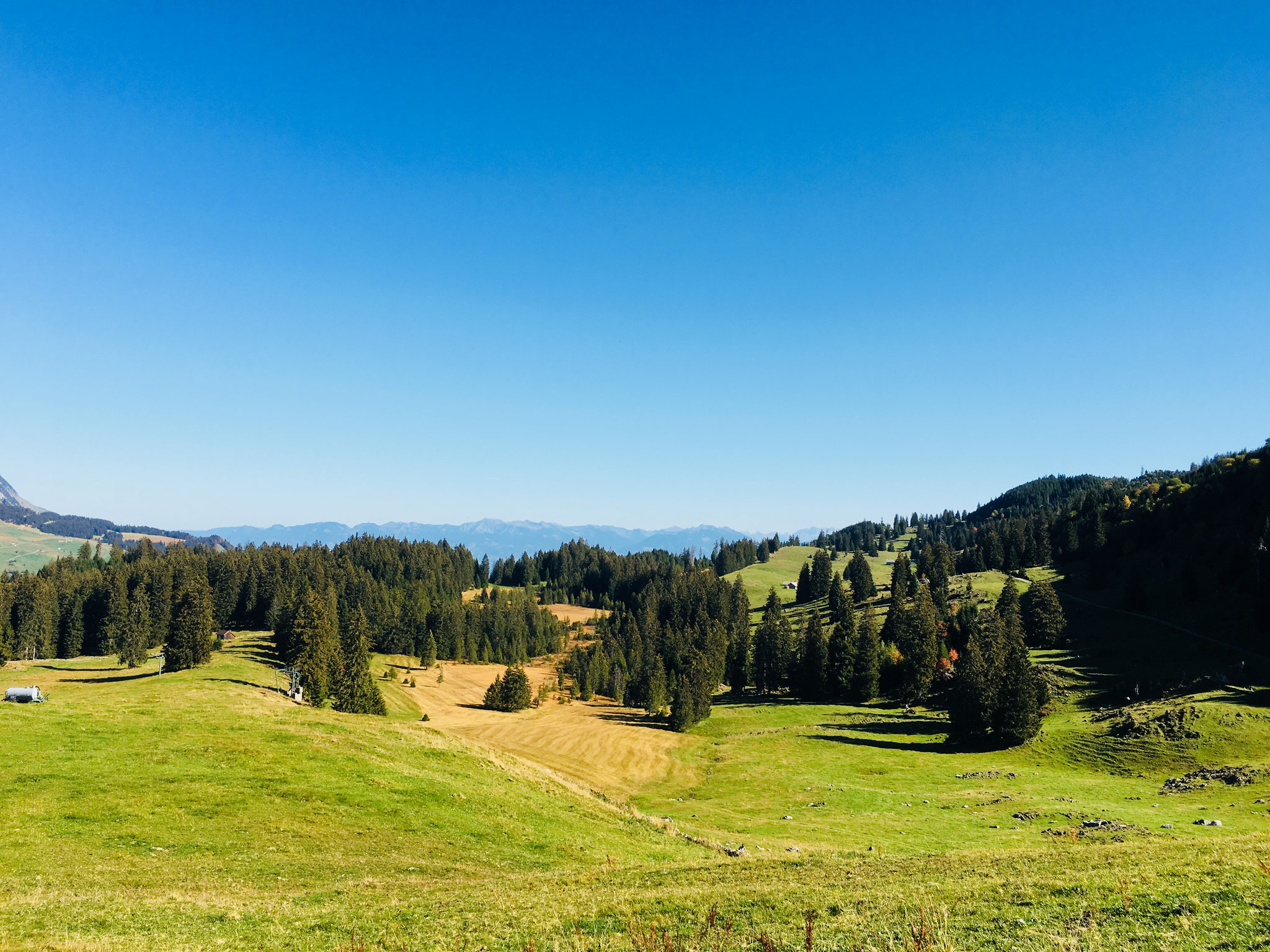 Wildhaus, Toggenburg