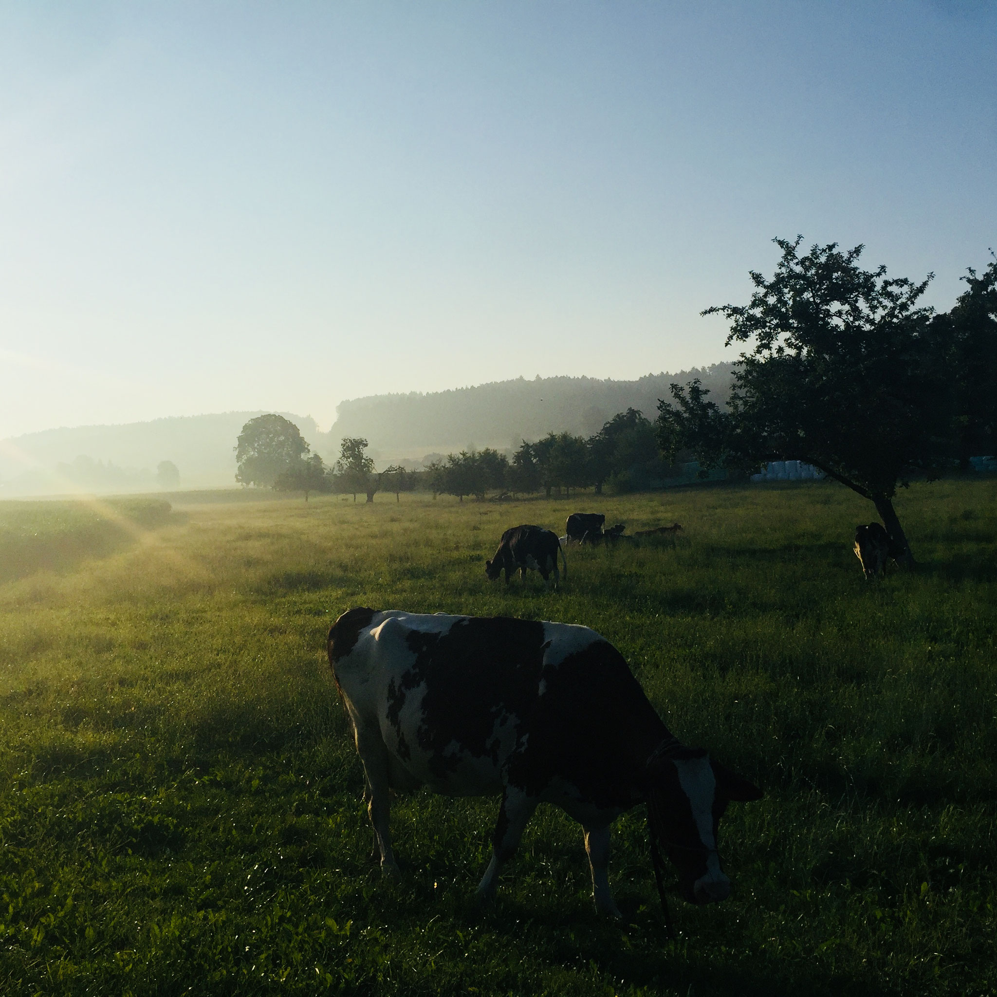 Frauenfeld, Oberherten, Thurgau