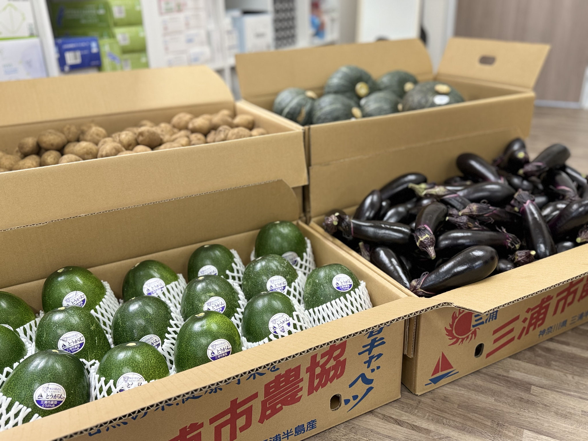 横須賀市　マークスター訪問看護ステーション