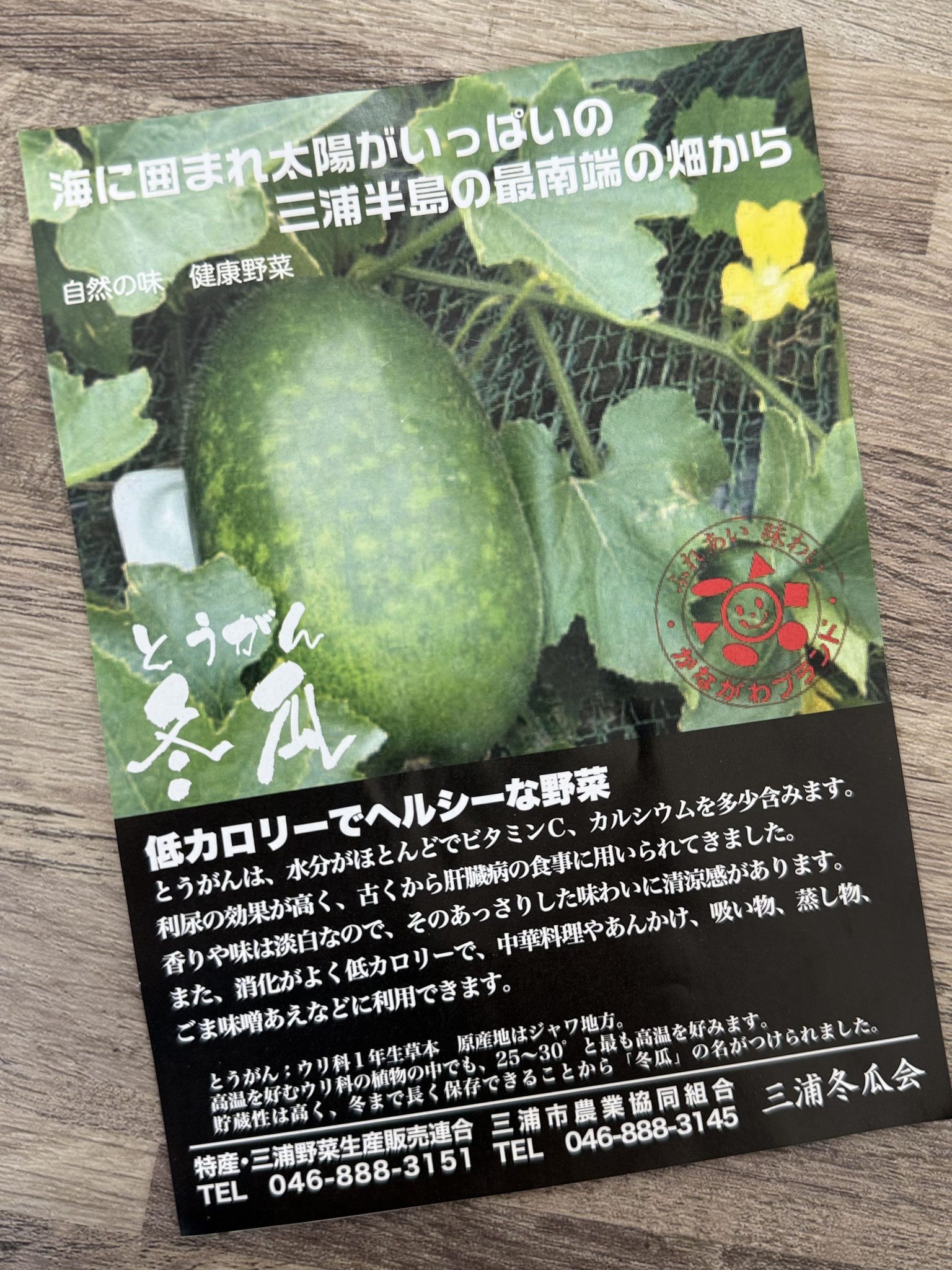 横須賀市　マークスター訪問看護ステーション