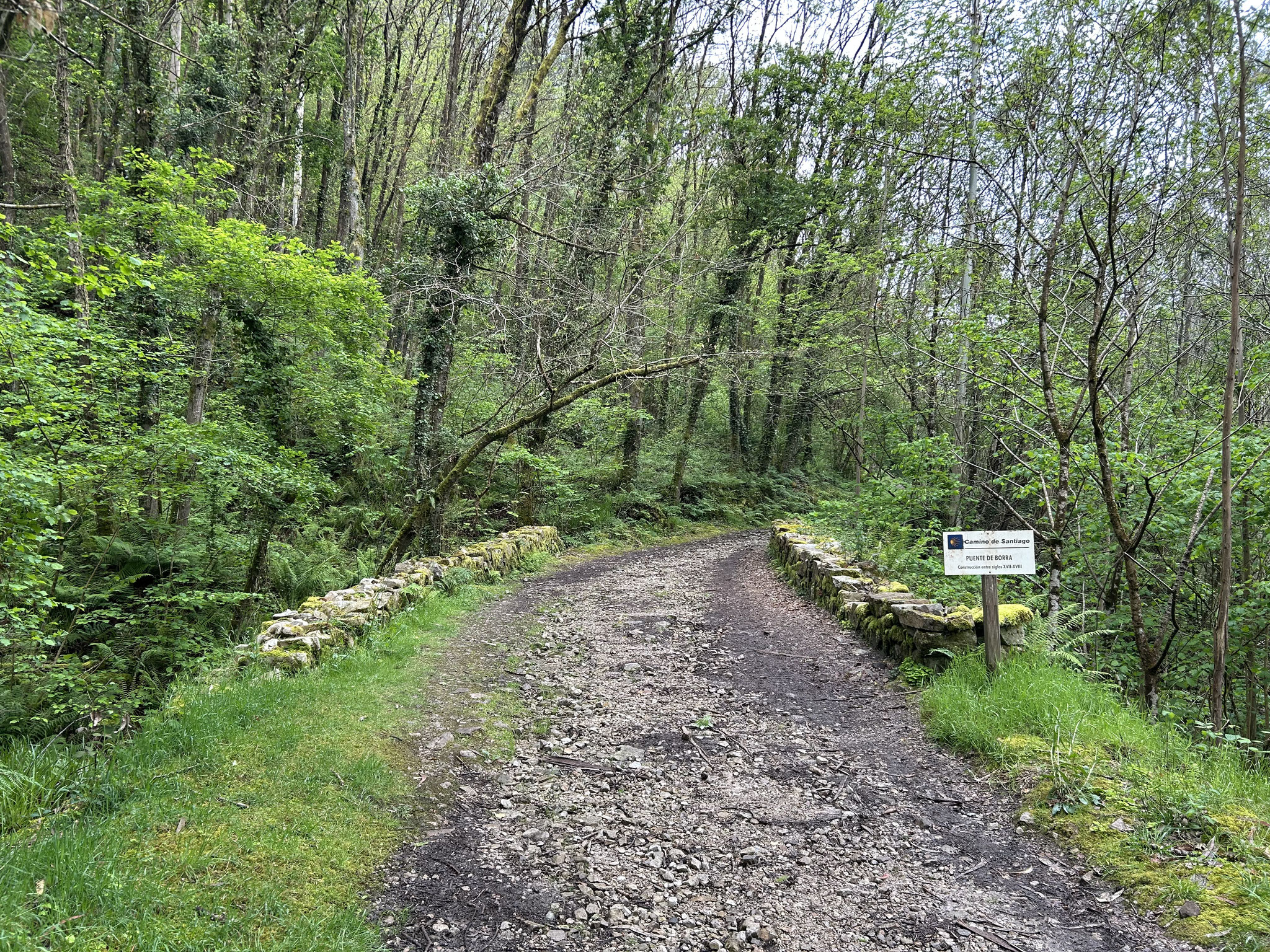 Puente de Borra