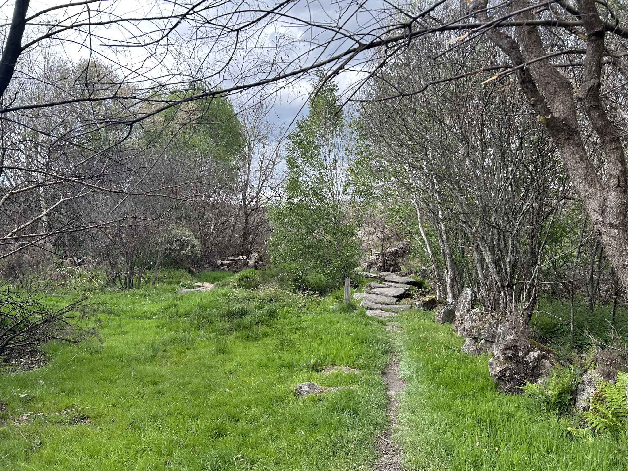 Wunderschöner Weg