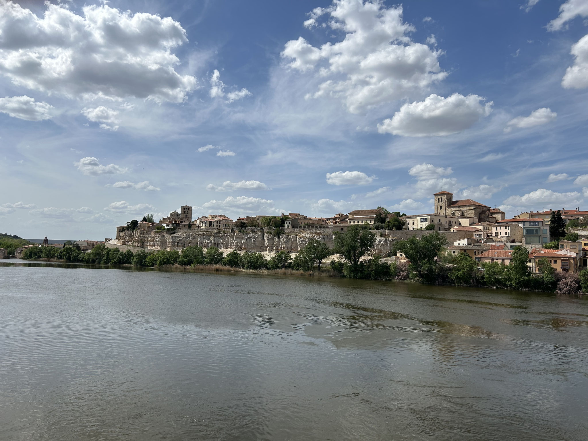 Zamora
