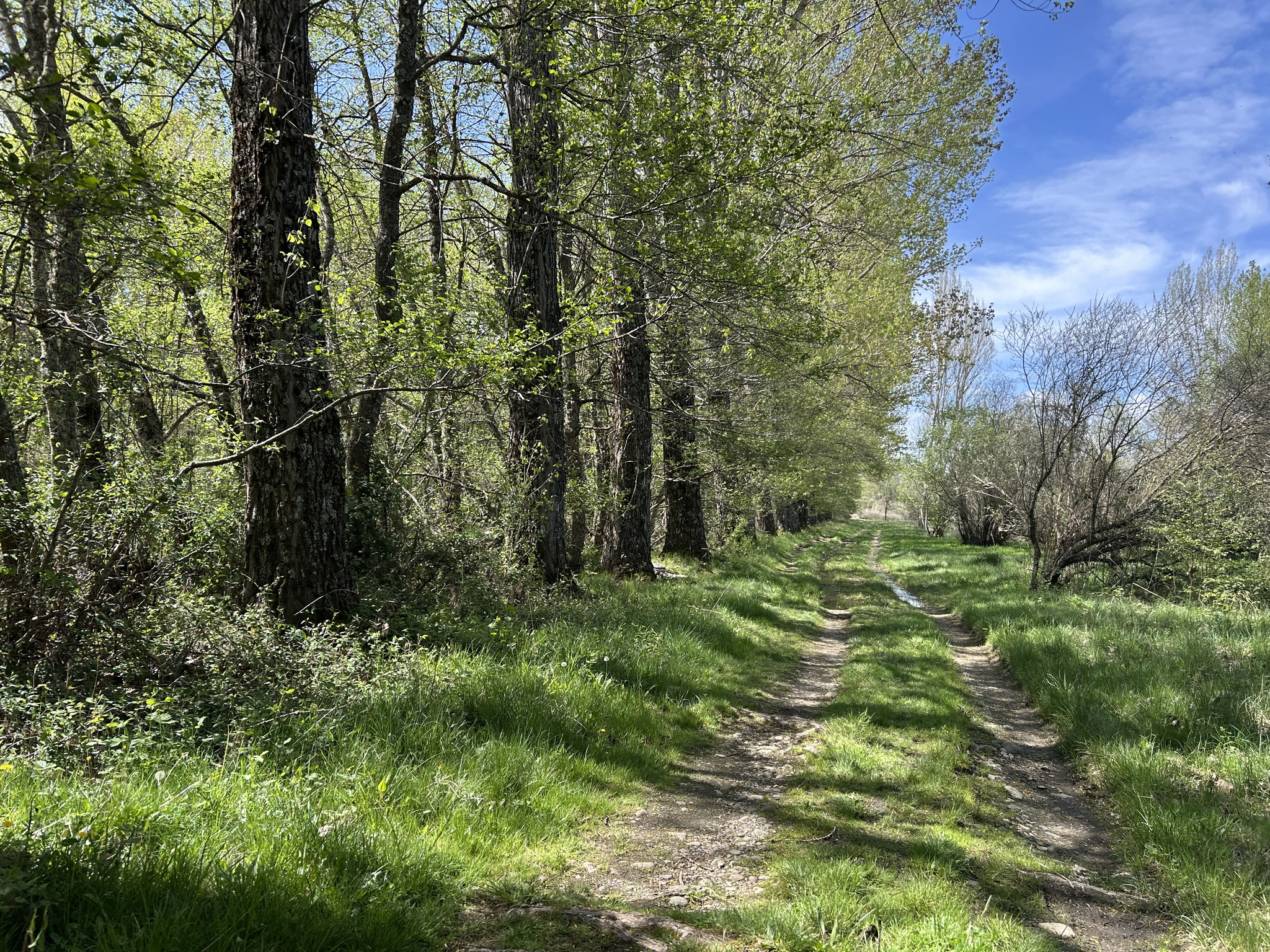 Schöner Weg am Rio Castro entlang