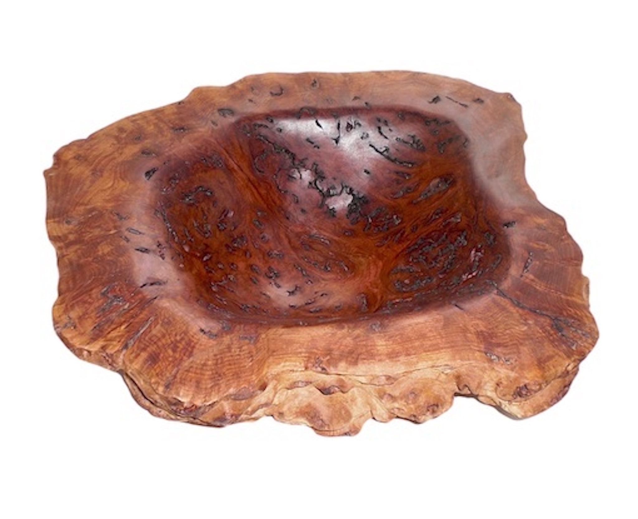 Knolle Salmon Gum (Australien) 380 x 15 x 10 mm hoch