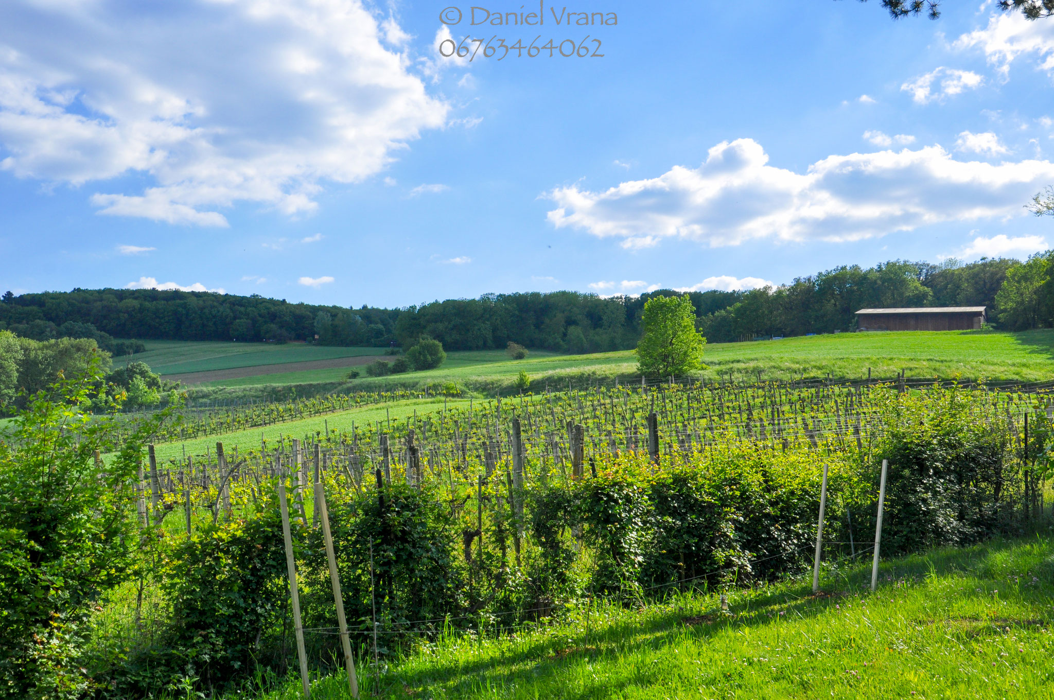 Umgebung in Kritzendorf