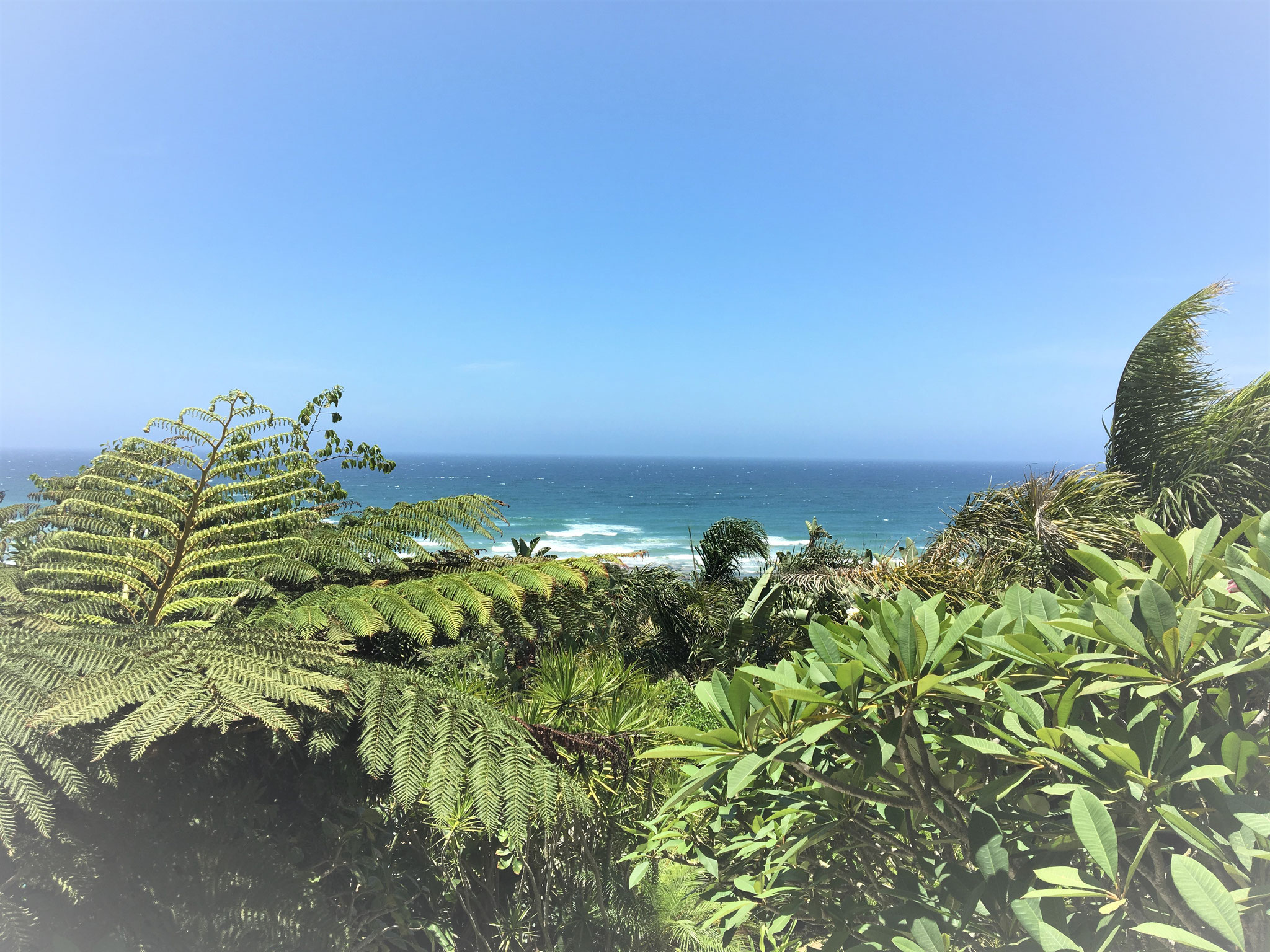VIEW | Wild Coast, South Africa, Südafrika