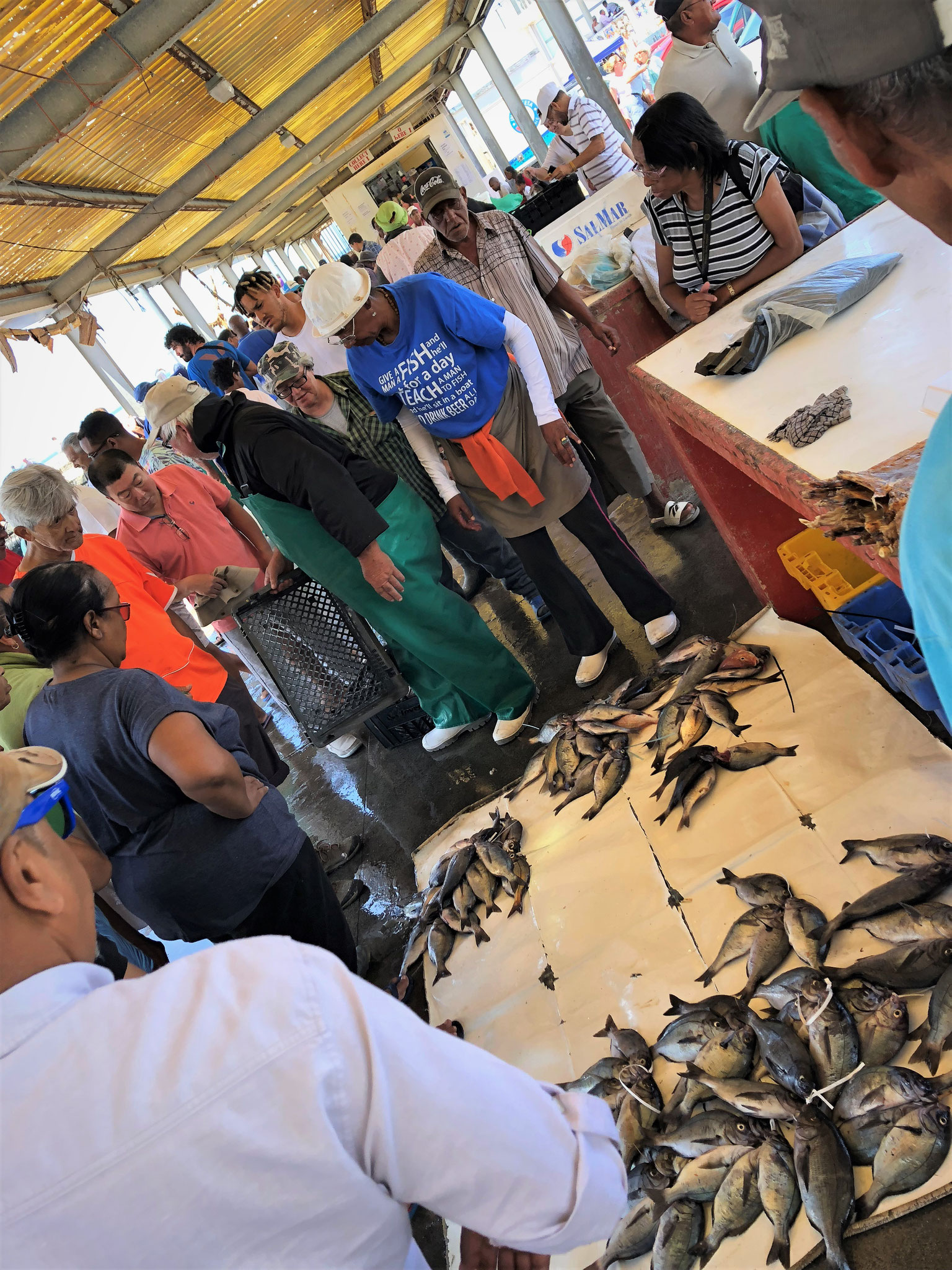 MARKET | Fishmarket, Harbour, Kalk Bay, Western Cape, South Africa, Westkap, Südafrika
