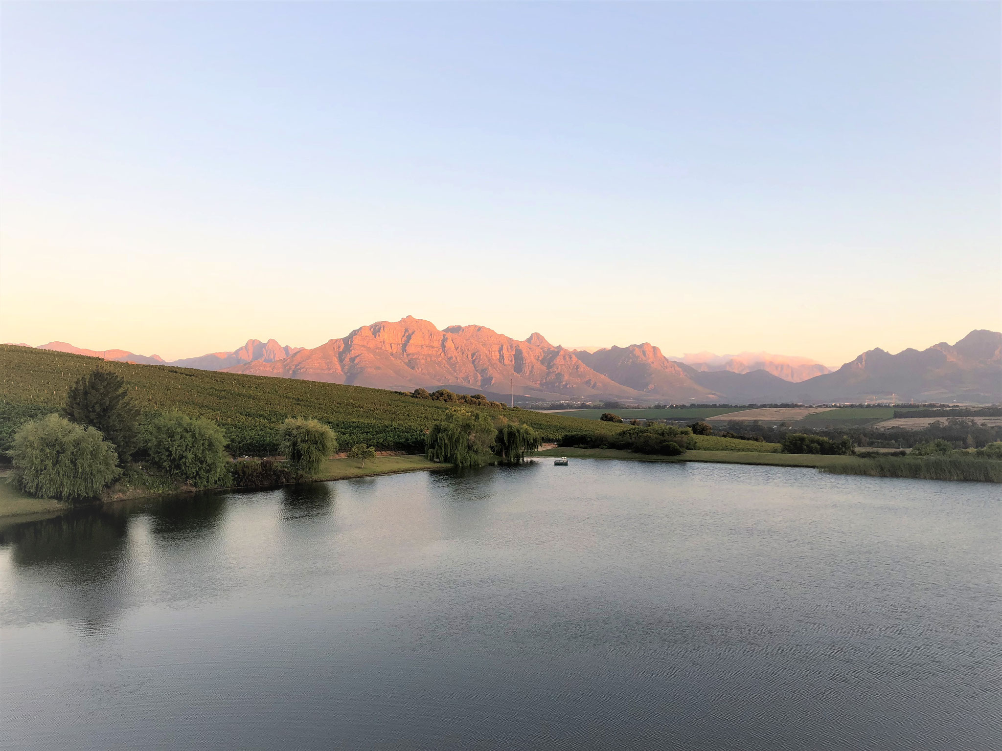 SCENERY | Asara Wine Estate, Stellenbosch, South Africa, Südafrika