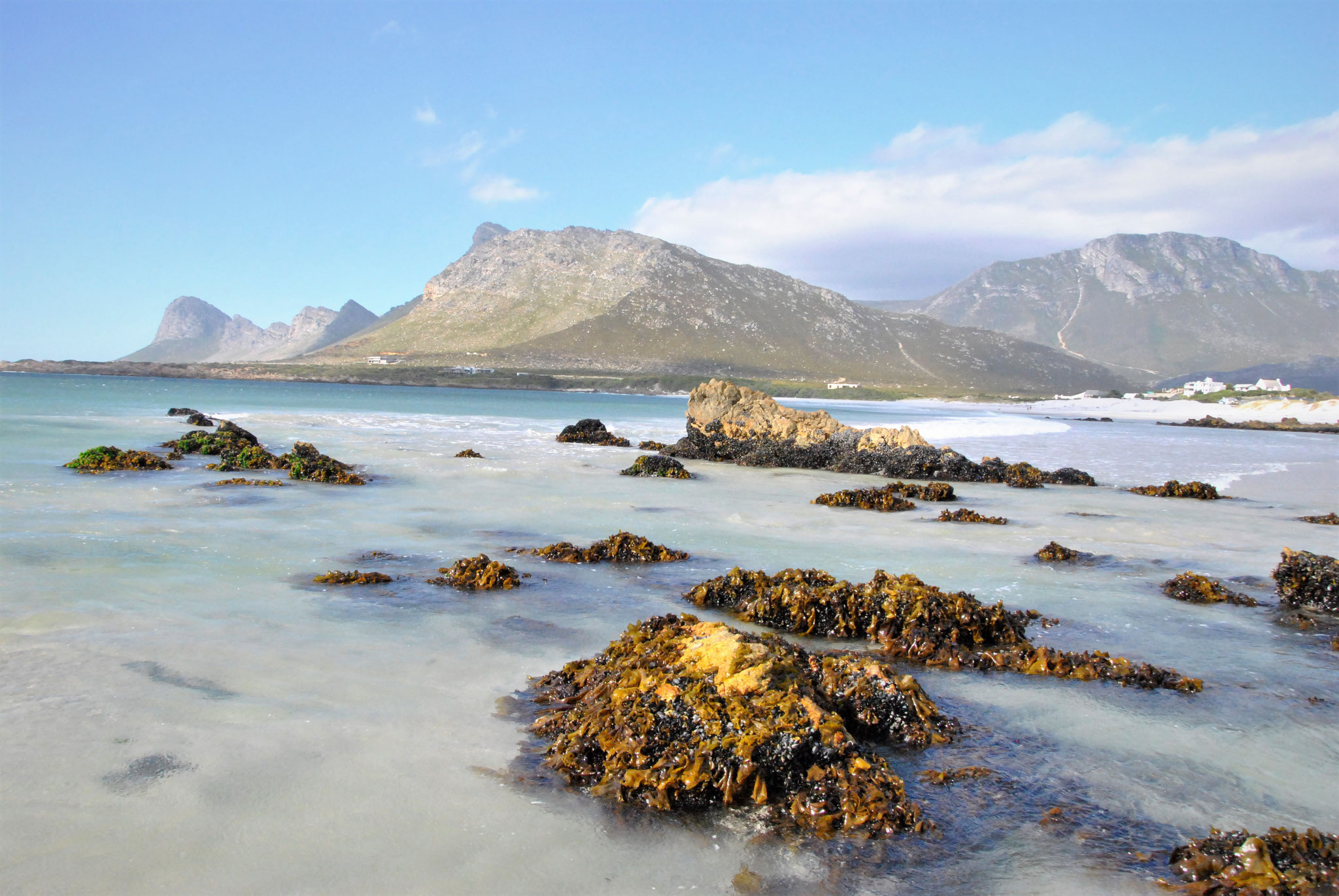 PARADISE | The Beach at Pringle Bay, Western Cape, Soth Africa, Westkap, Südafrika