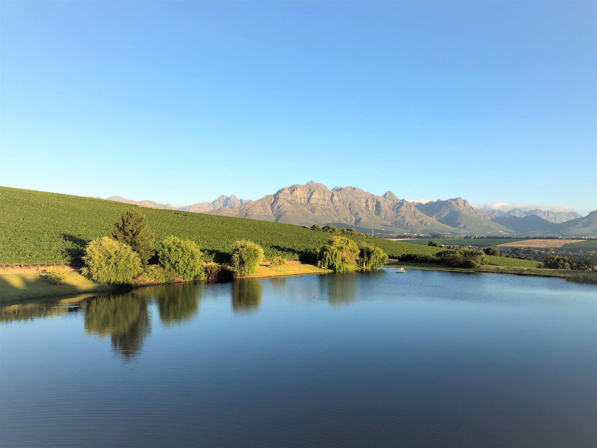 SCENERY | Asara Wine Estate, Stellenbosch, South Africa, Südafrika