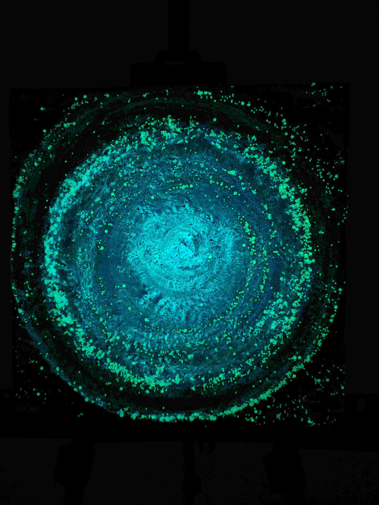 ©acksteiner.eu  - Cosmic Blue 2 aus 2023 - 30x30cm - Verkauft 2025