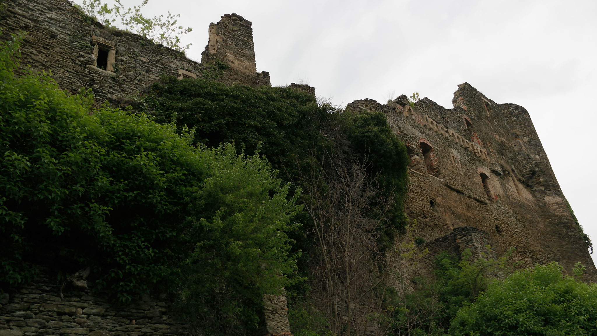 Burgruine Dalberg (Landkreis Bad Kreuznach) Burgendatenbank und