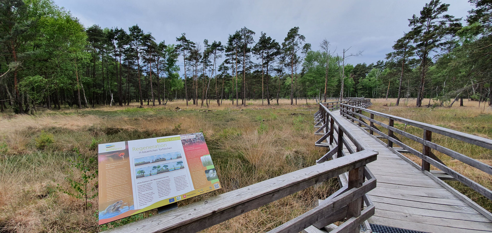 Infotafel auf dem Moor-Erlebnispfad,Foto:NABU/L.Reinberger