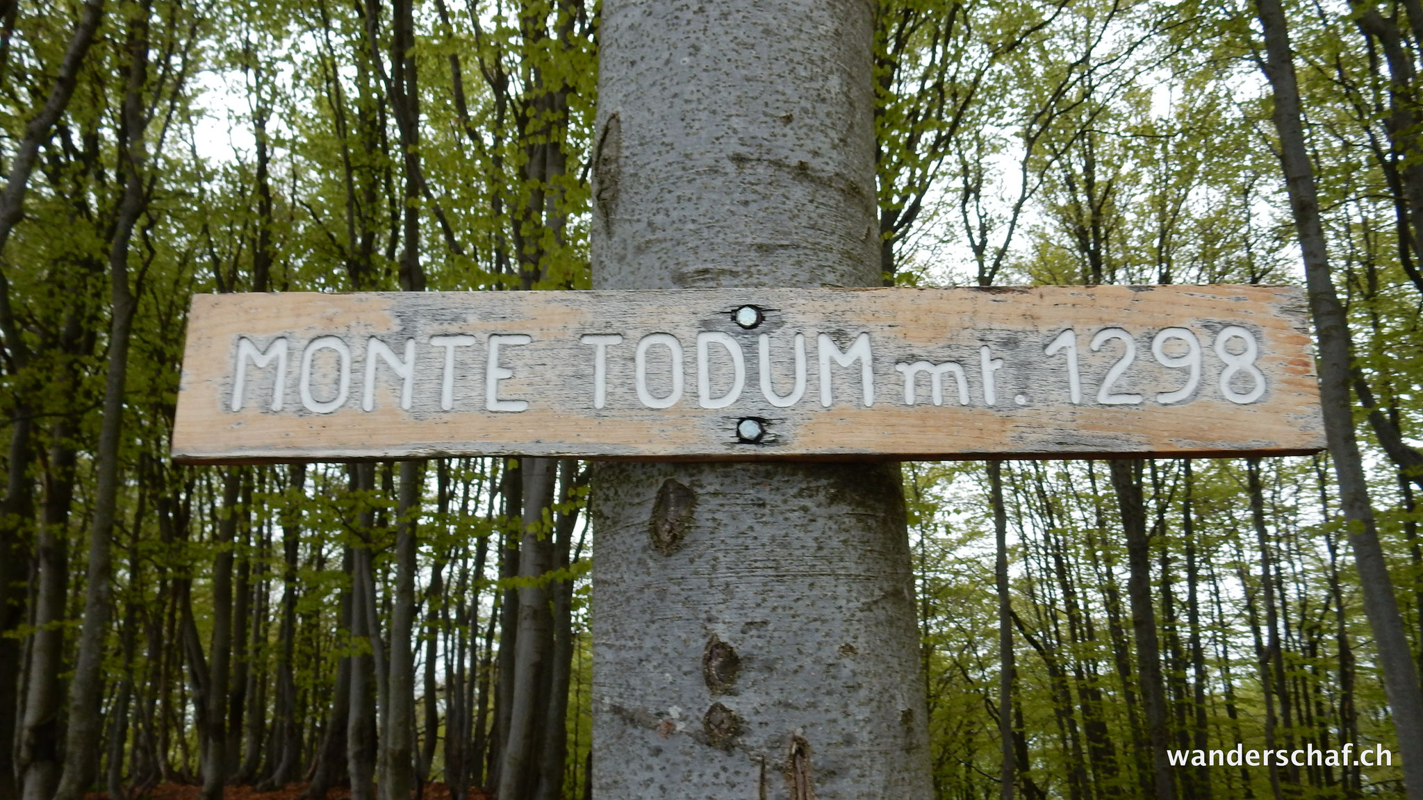 auf dem Monte Todum