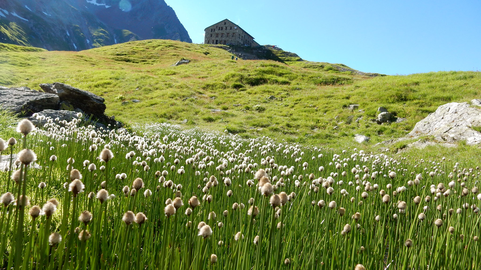 unterhalb der Terrihütte