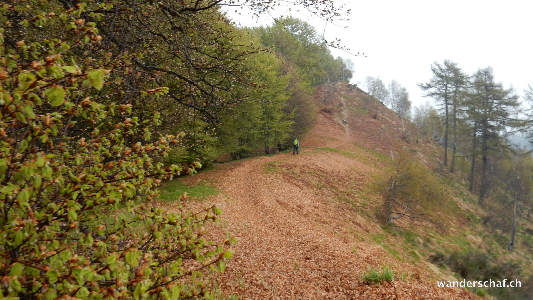 schöner Weiterweg dem Grat entlang Richtung Pizzo Pernice