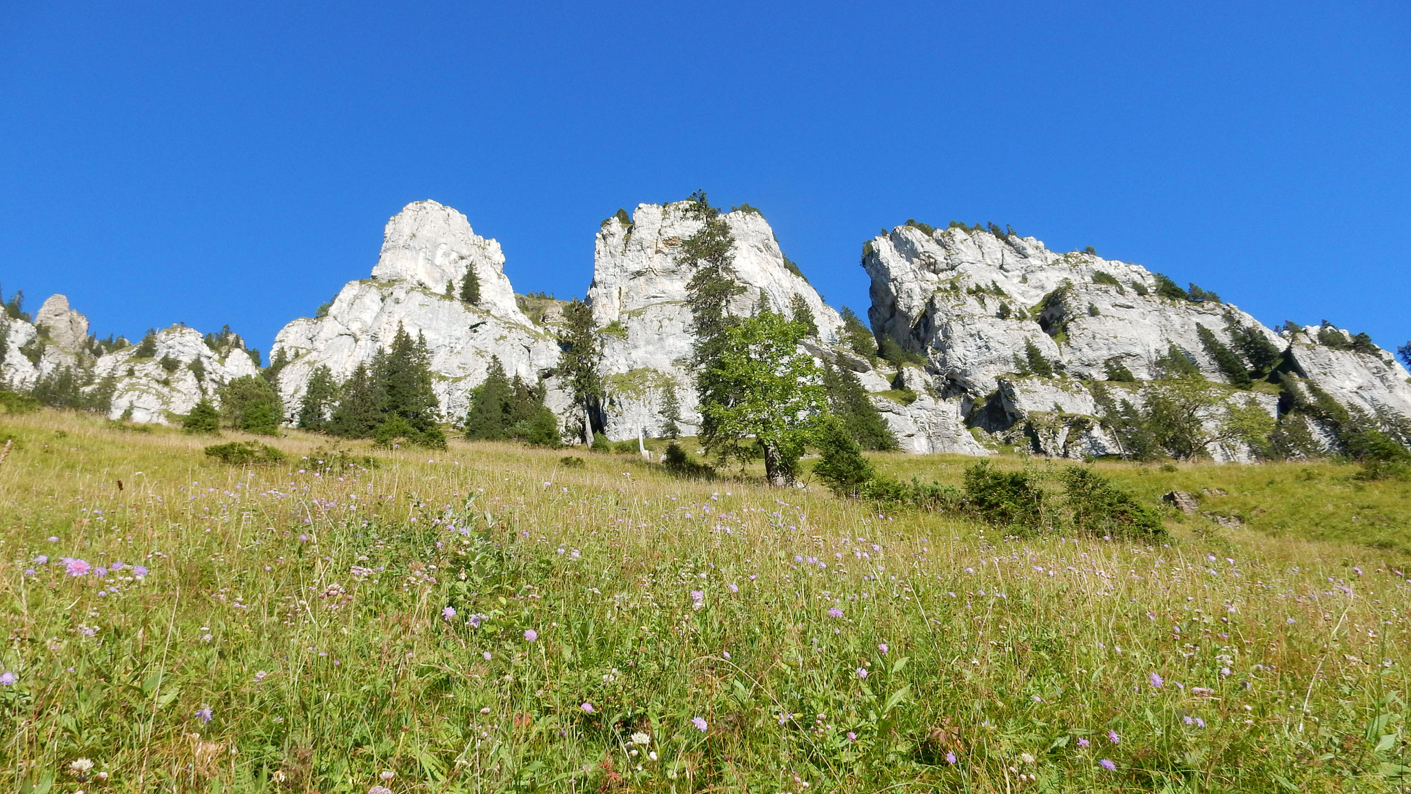 auf dem Rückweg bei Schiltwang