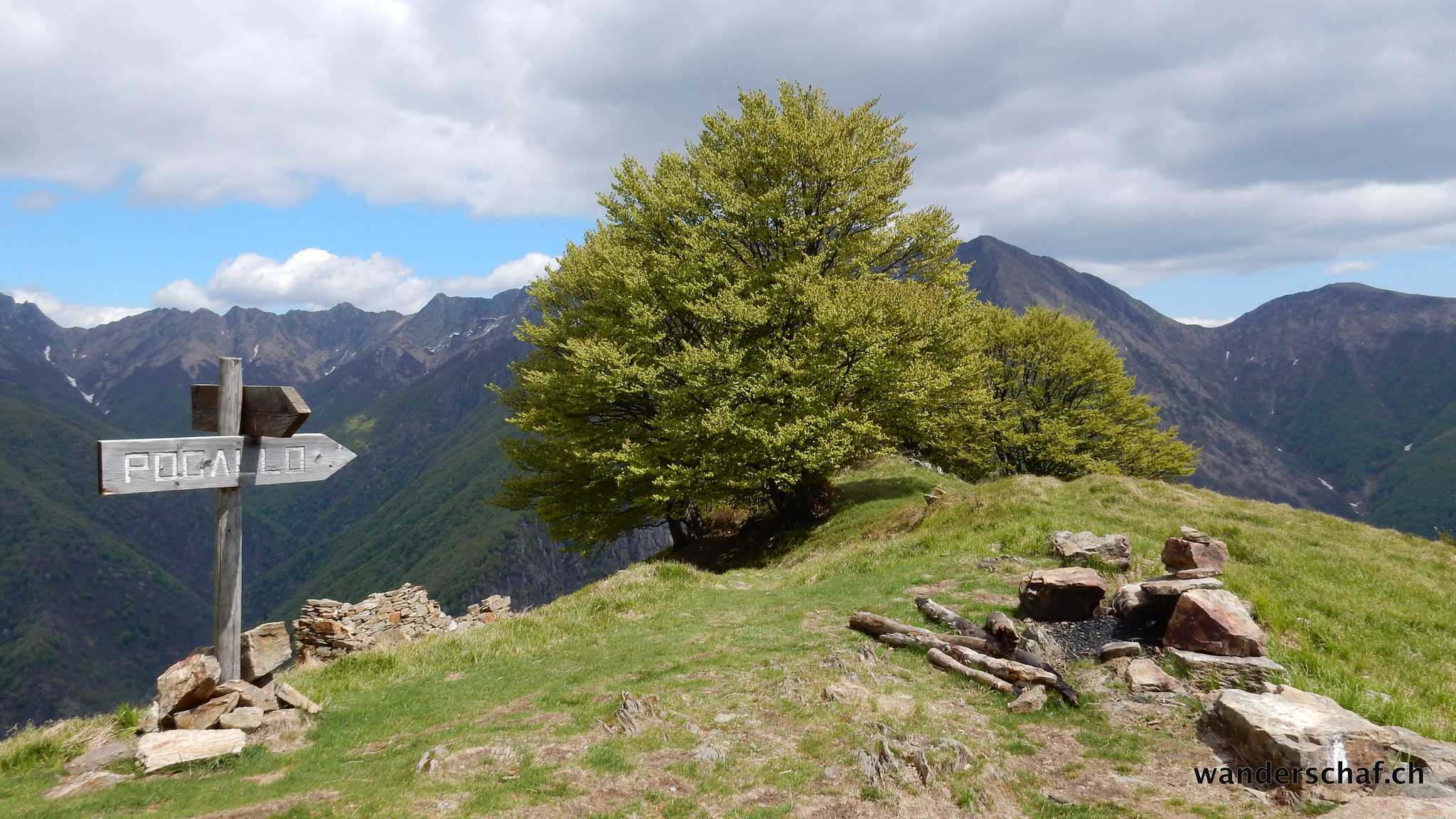 oberhalb Alpe Leciurt