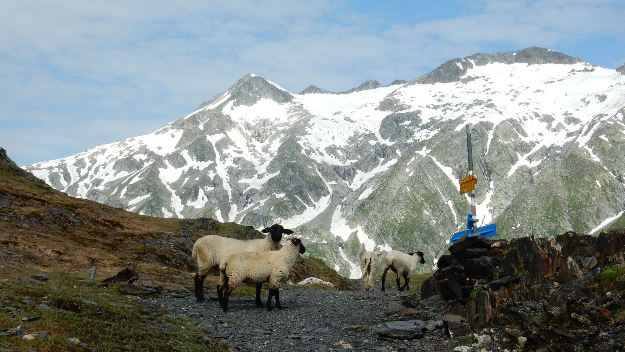 Impressionen am Passo della Greina