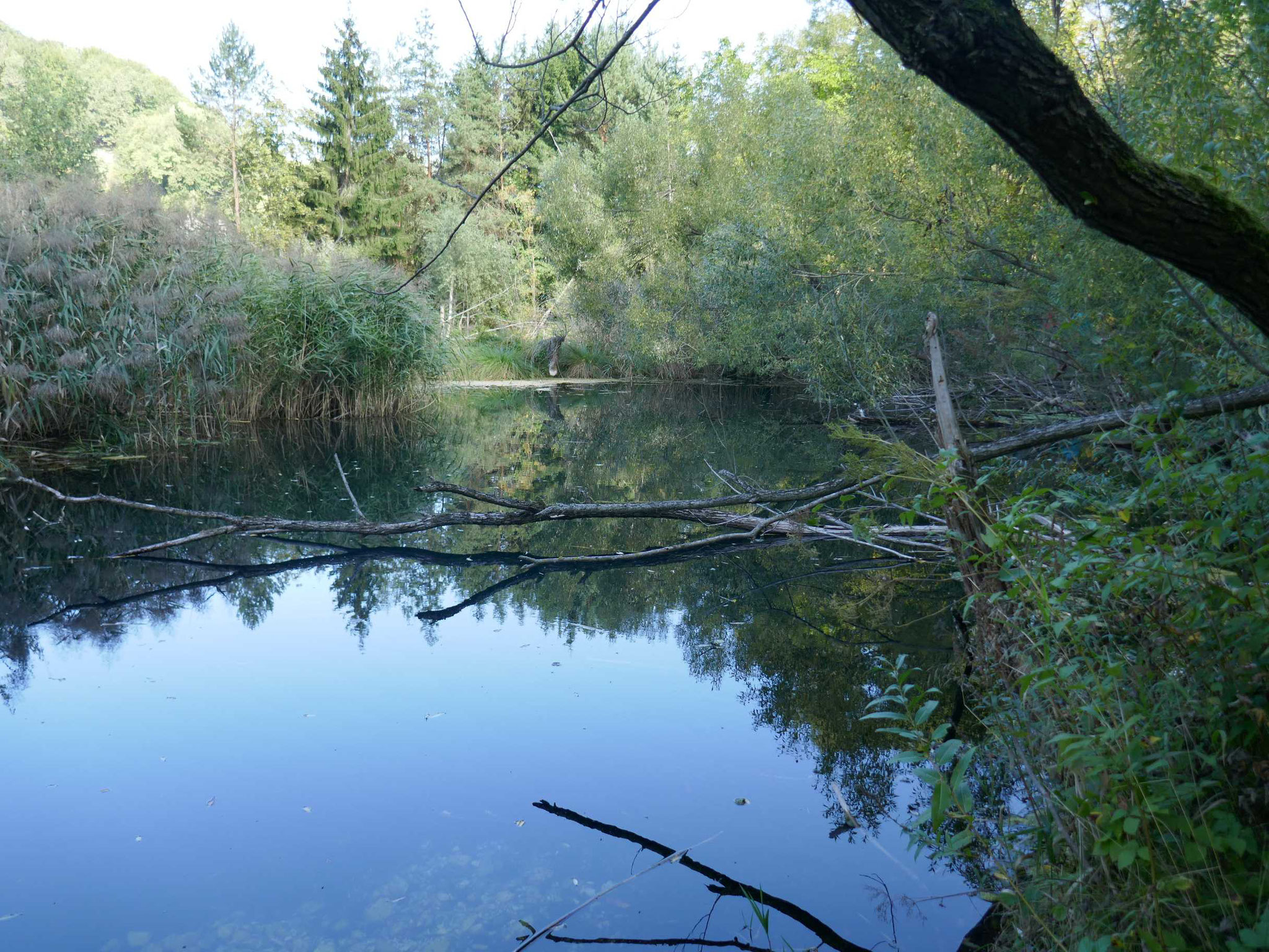 Steinschaler Naturgarten-Führung