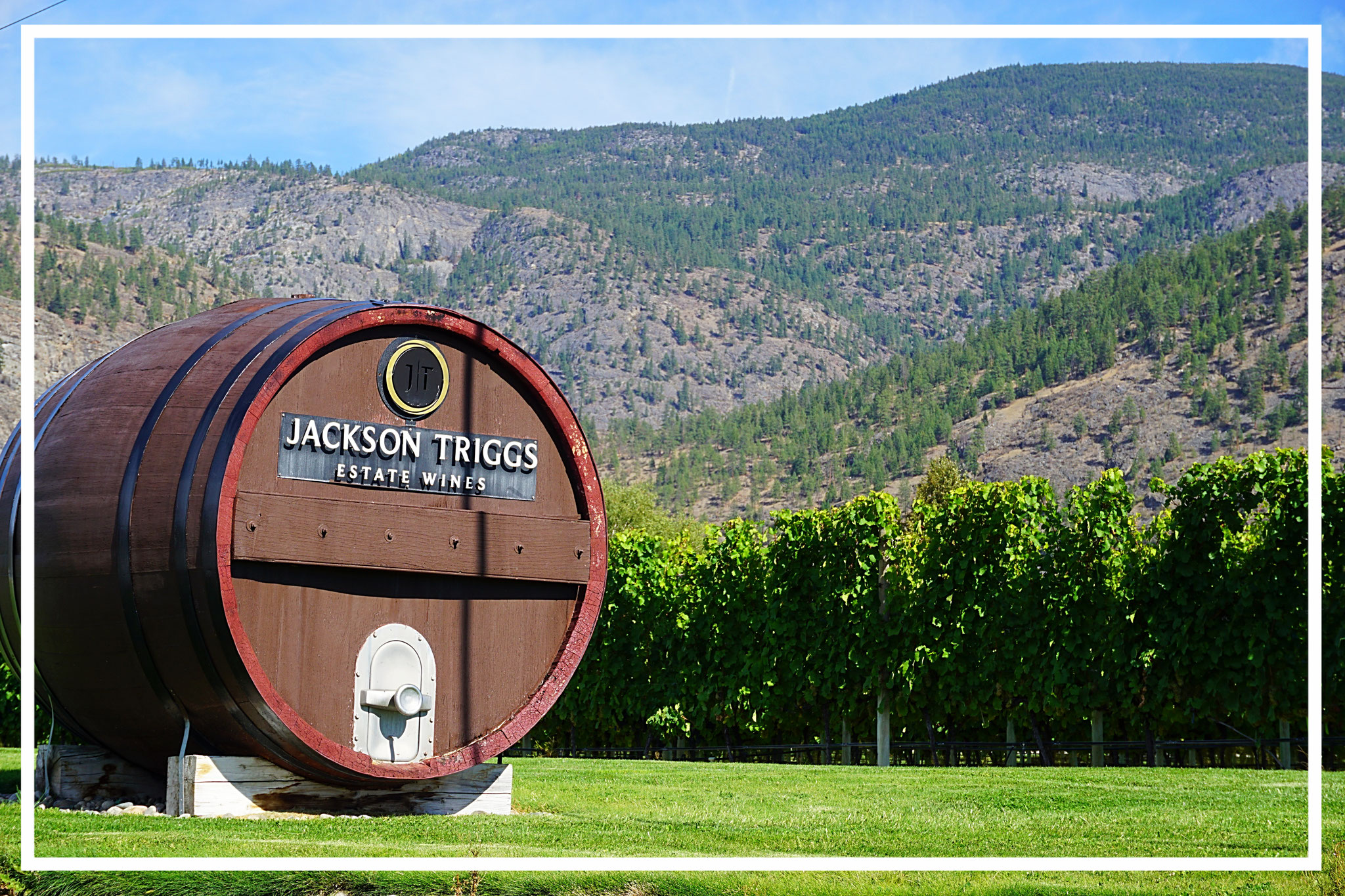 Jackson Triggs Wine Estate