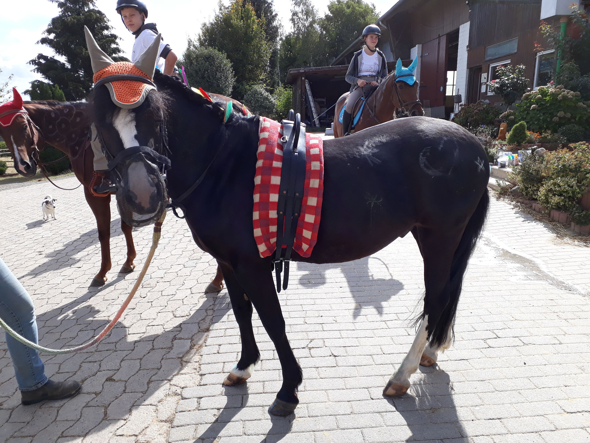 Jugendcamp 2018 - Indianer Pony Robyn