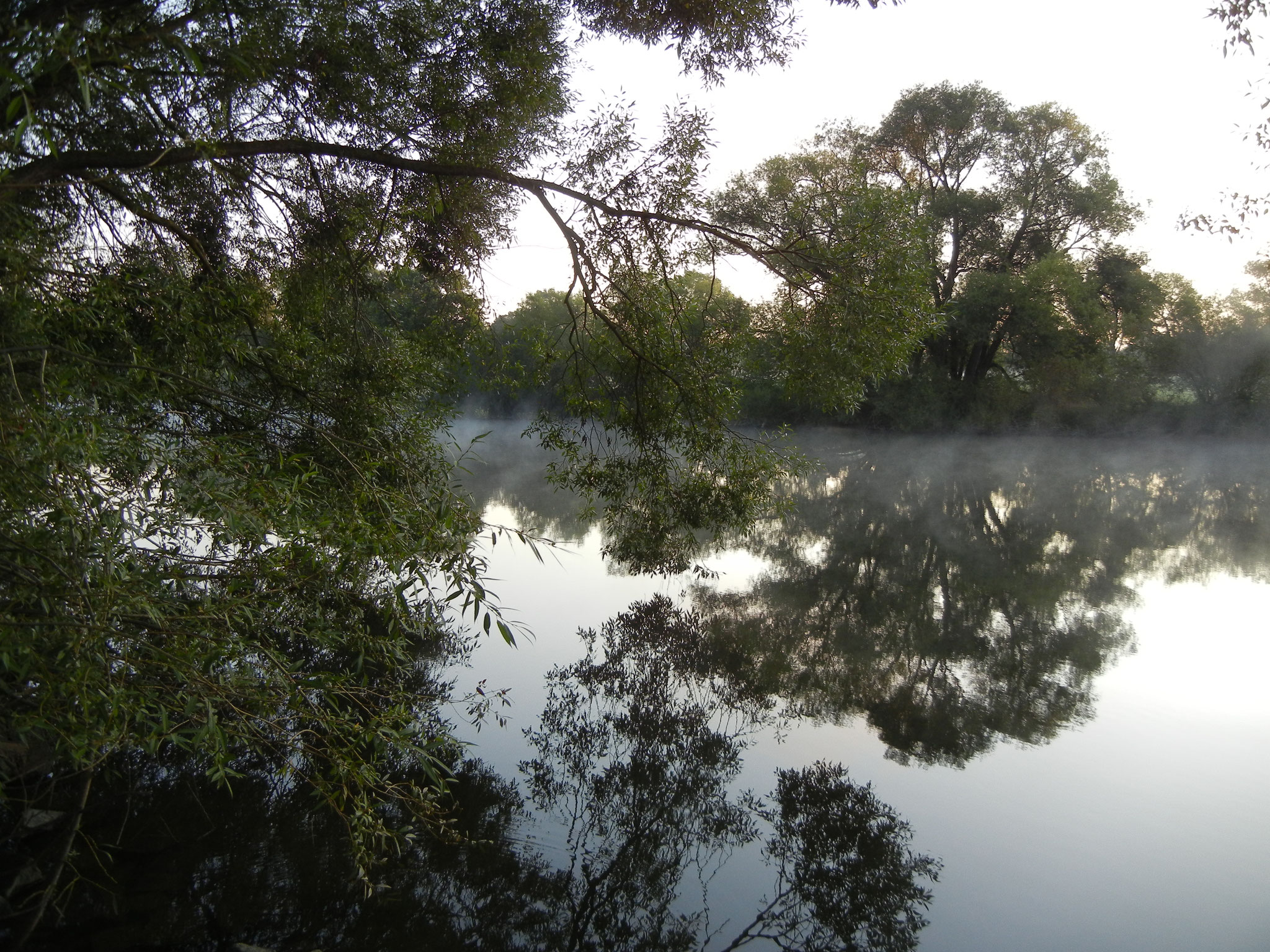 Camping in Kassel am Ufer der Fulda.