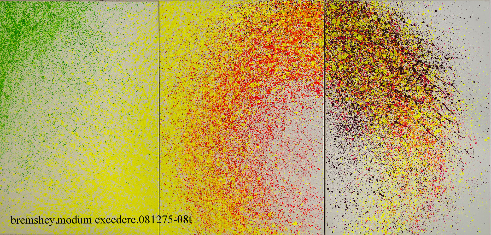 bremshey. modum excedere.081275-008 je 100x70 cm