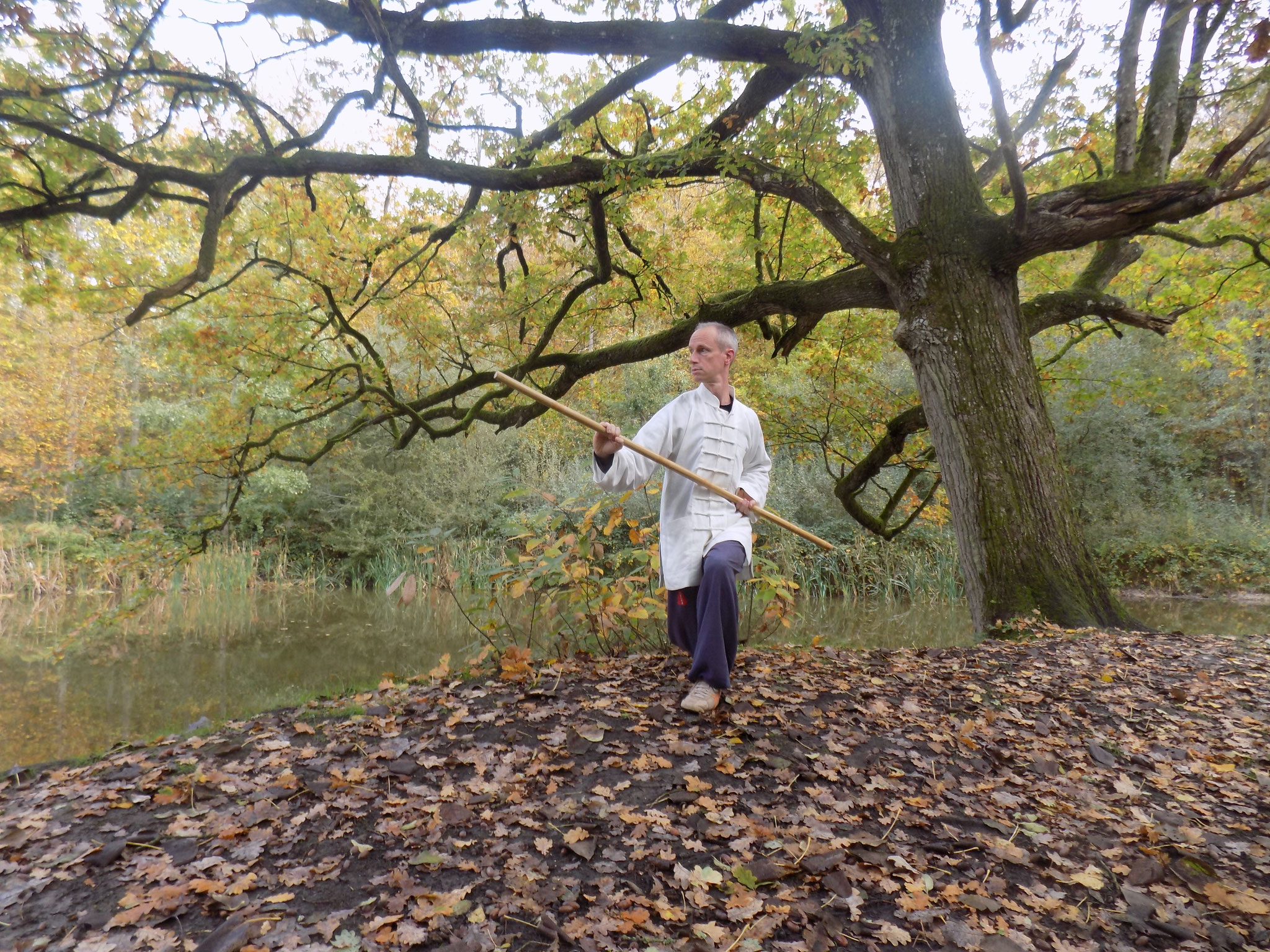 Postures Bagua Zhang Bâton long WUSHAO Arts Martiaux Chinois