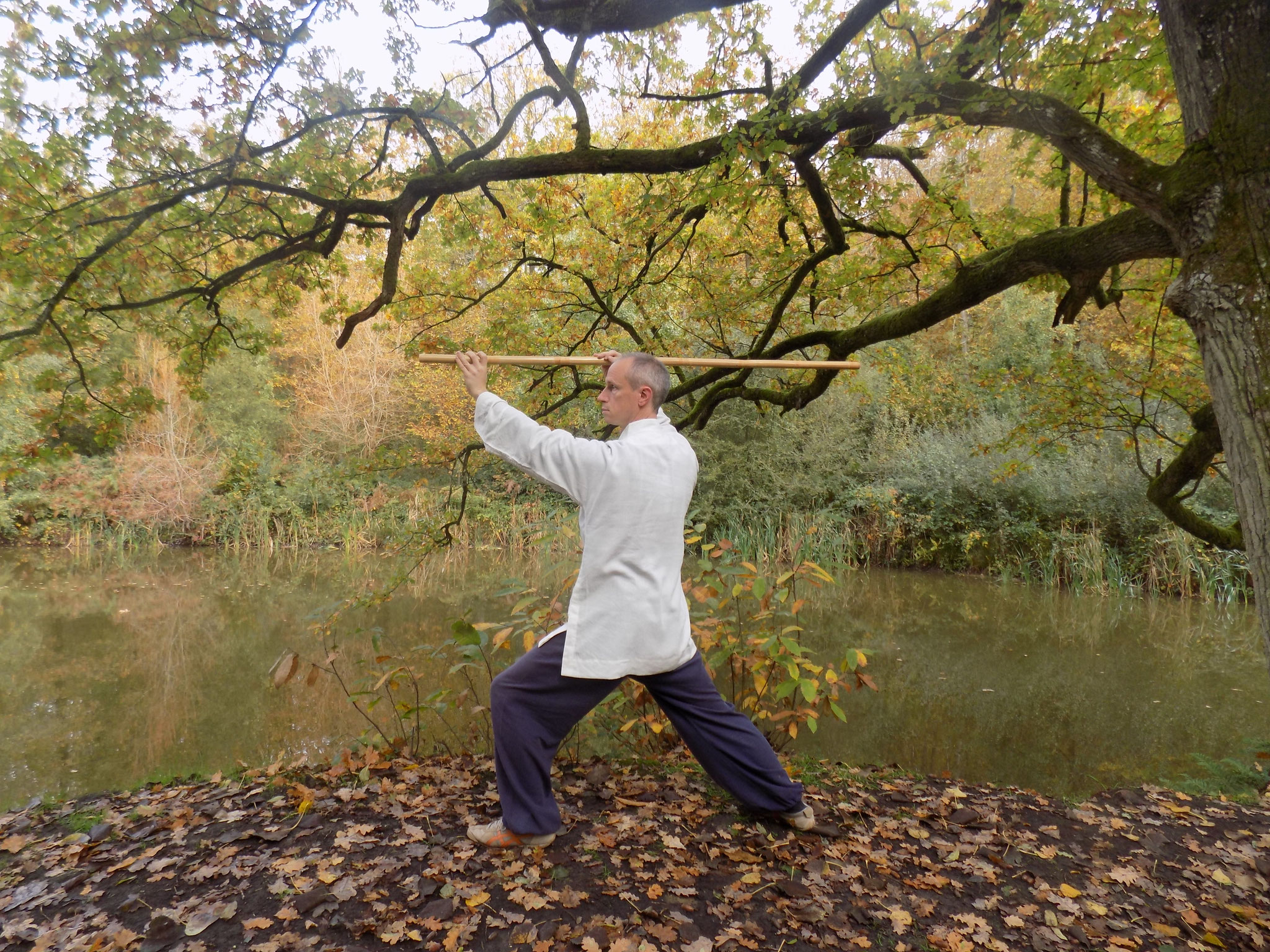 Postures Bagua Zhang Bâton long WUSHAO Arts Martiaux Chinois