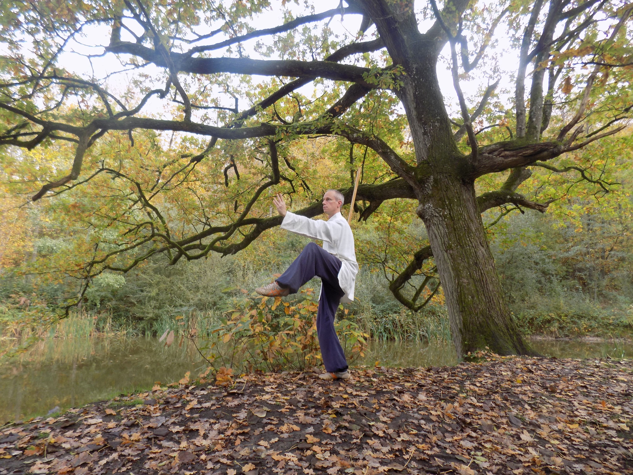 Postures Bagua Zhang Bâton long WUSHAO Arts Martiaux Chinois