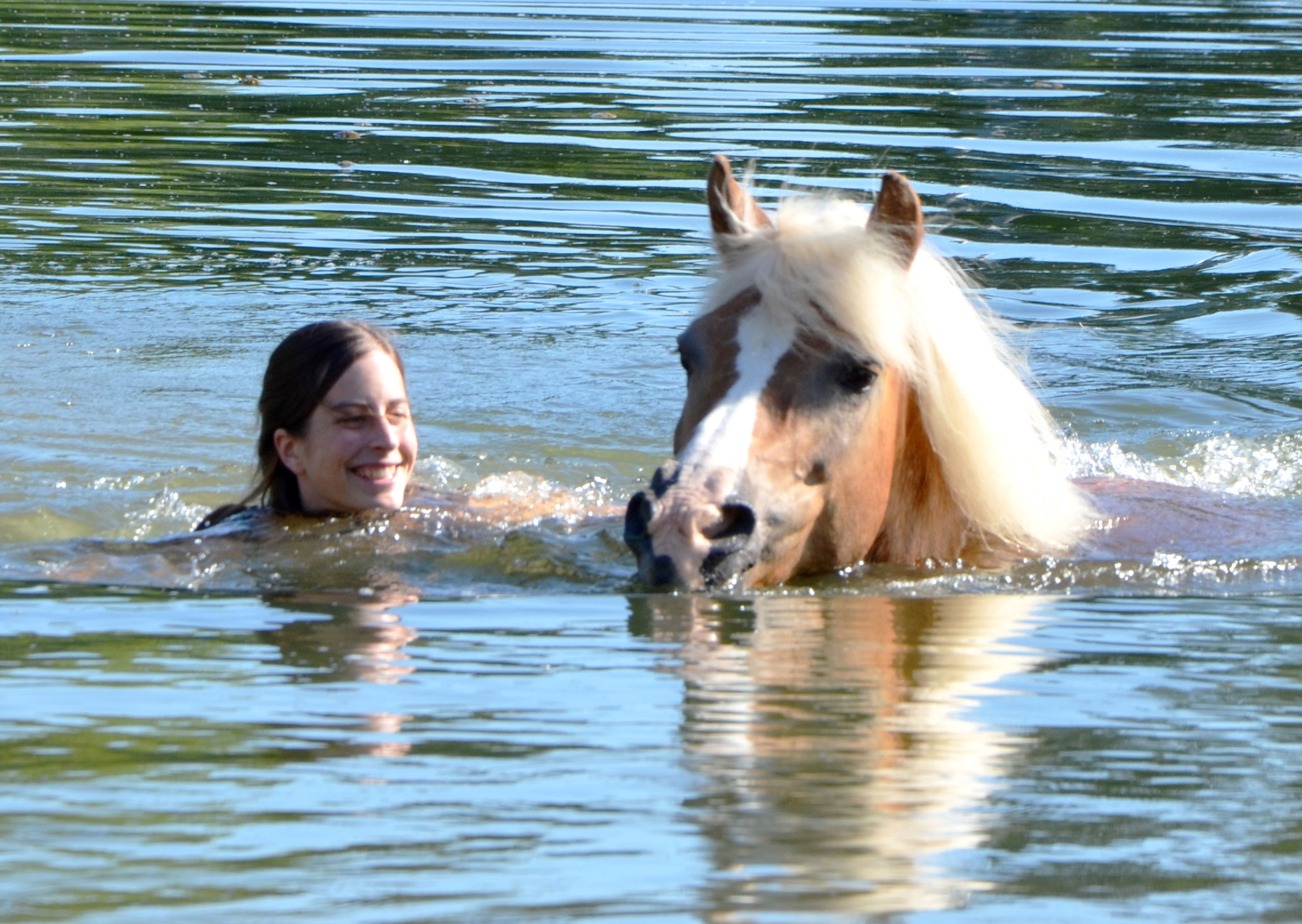 Natural Horsemanship