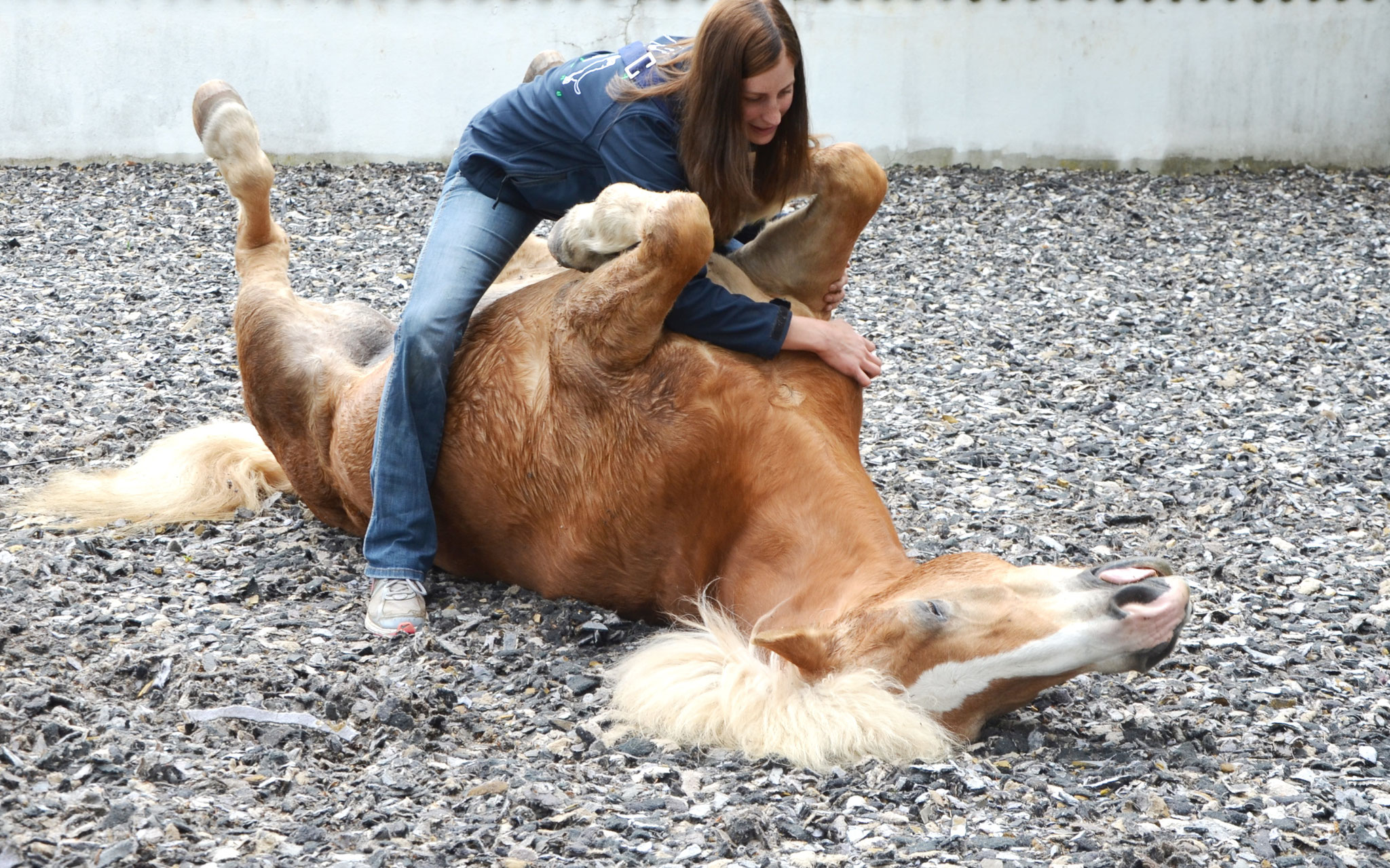 Natural Horsemanship