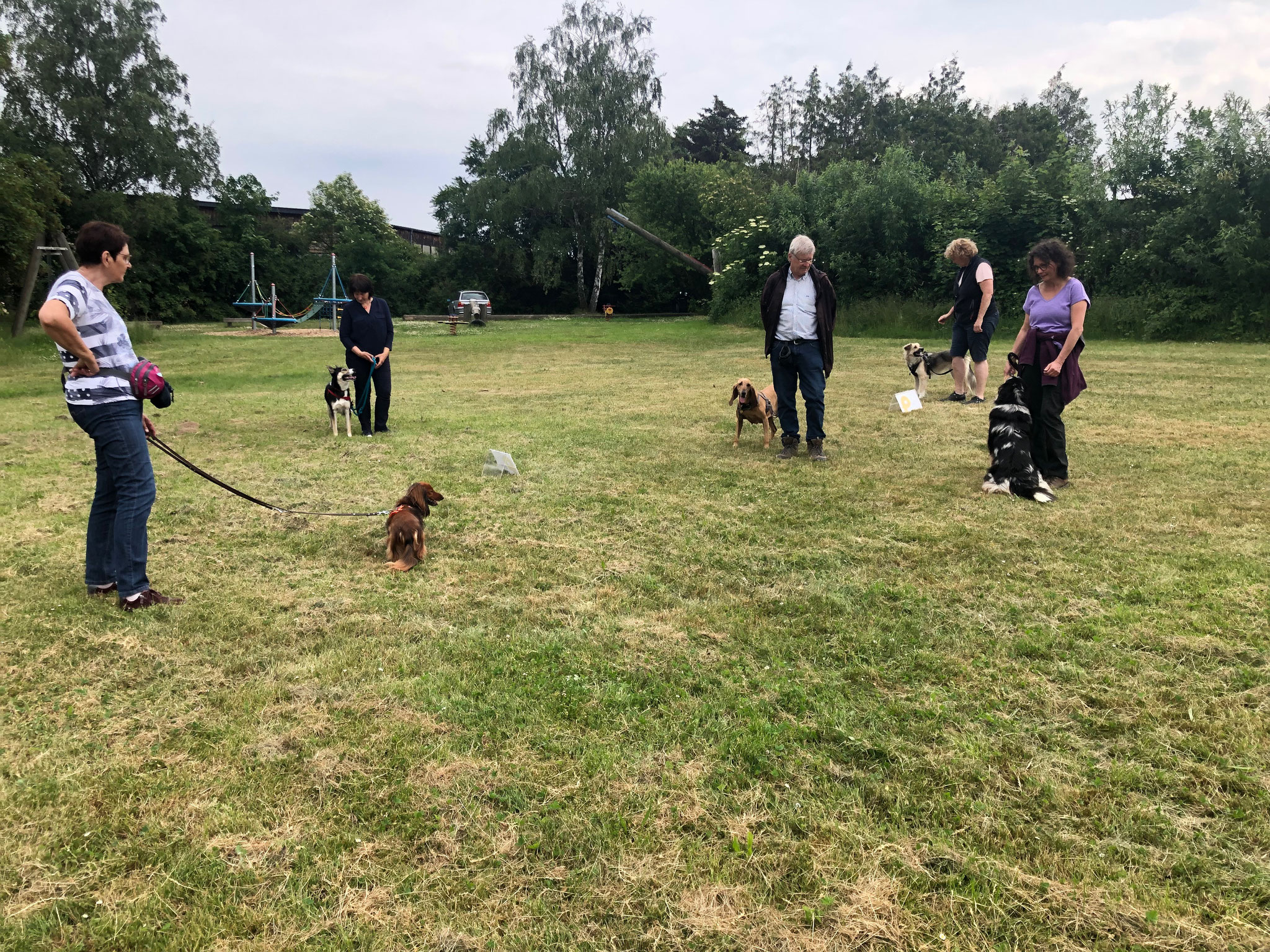 Hundeschule Marburg, team-training-menschhund.de 