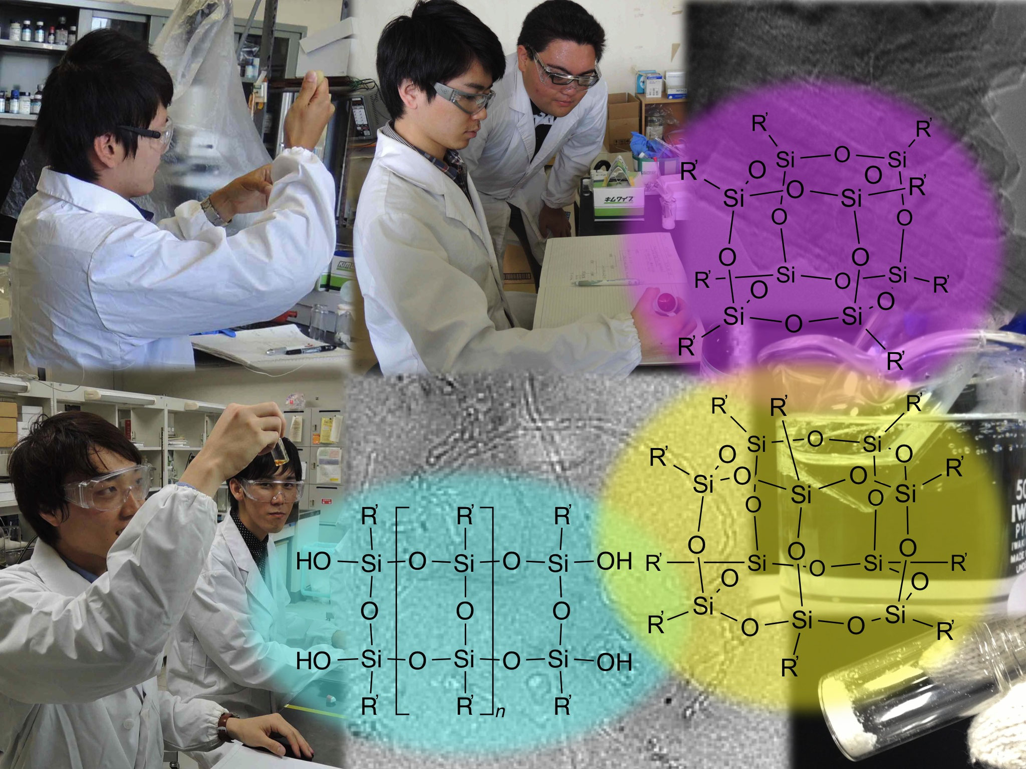 鹿児島大学 金子芳郎研究室 Yoshiro Kaneko Lab