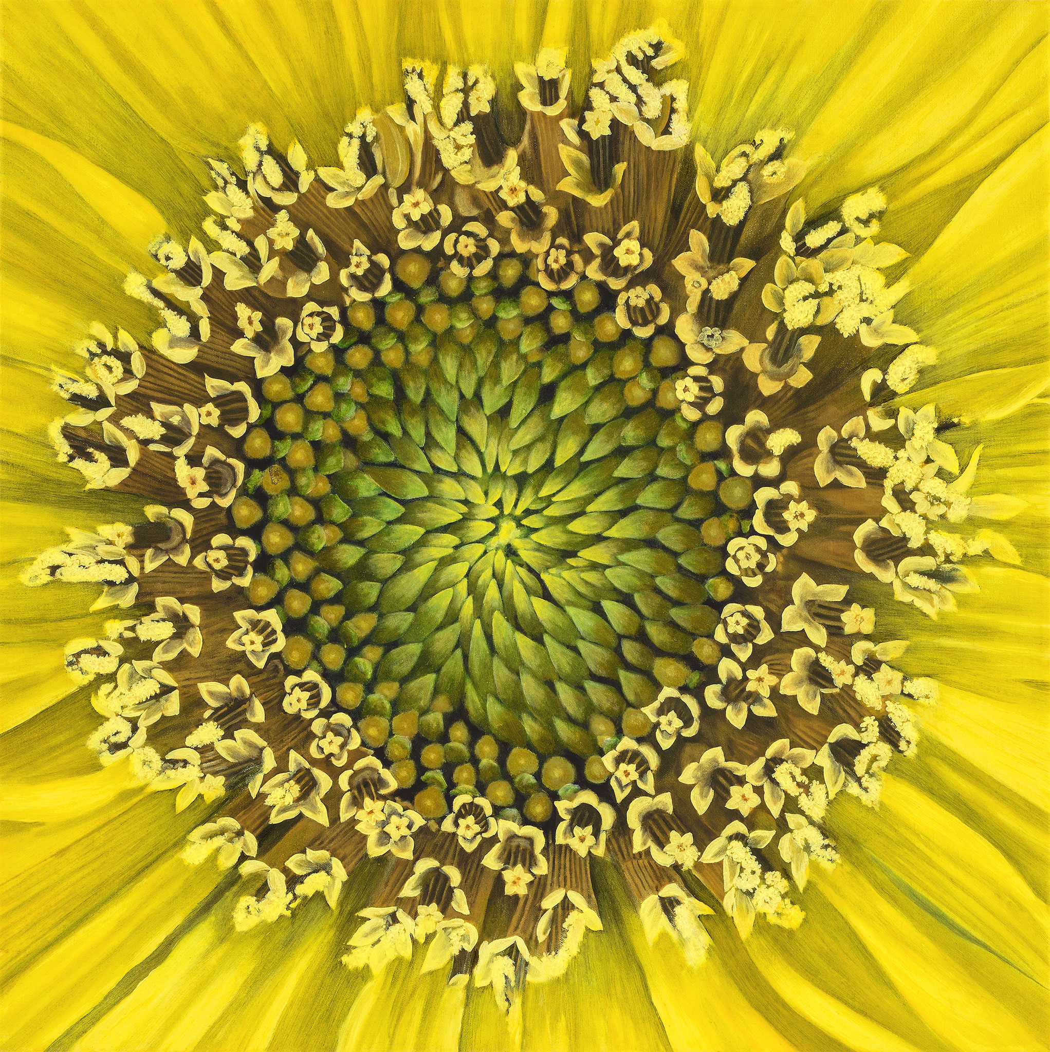 "Die Sonnenblume" - Öl auf Leinwand - 