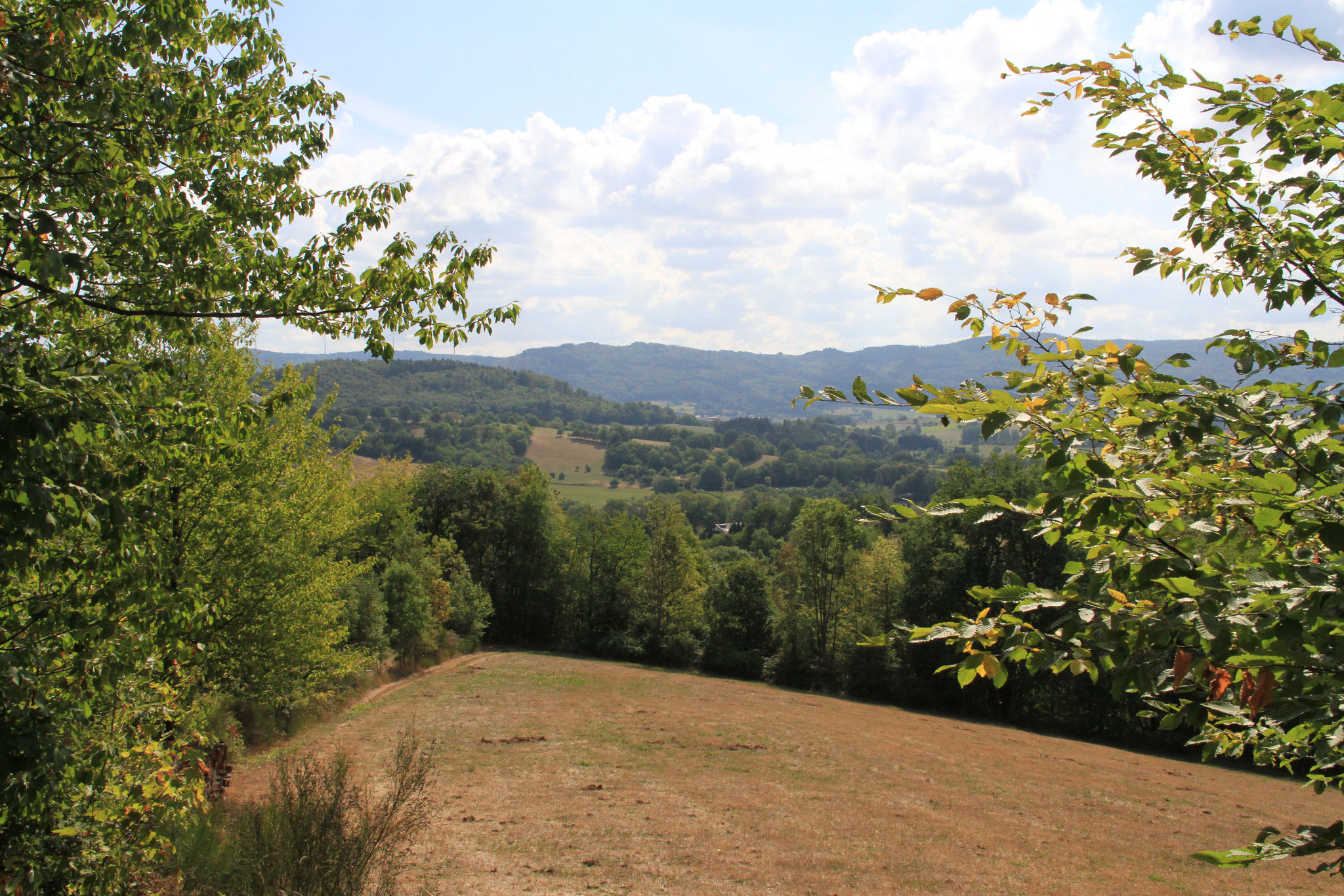 Blick ins Schlierbachtal