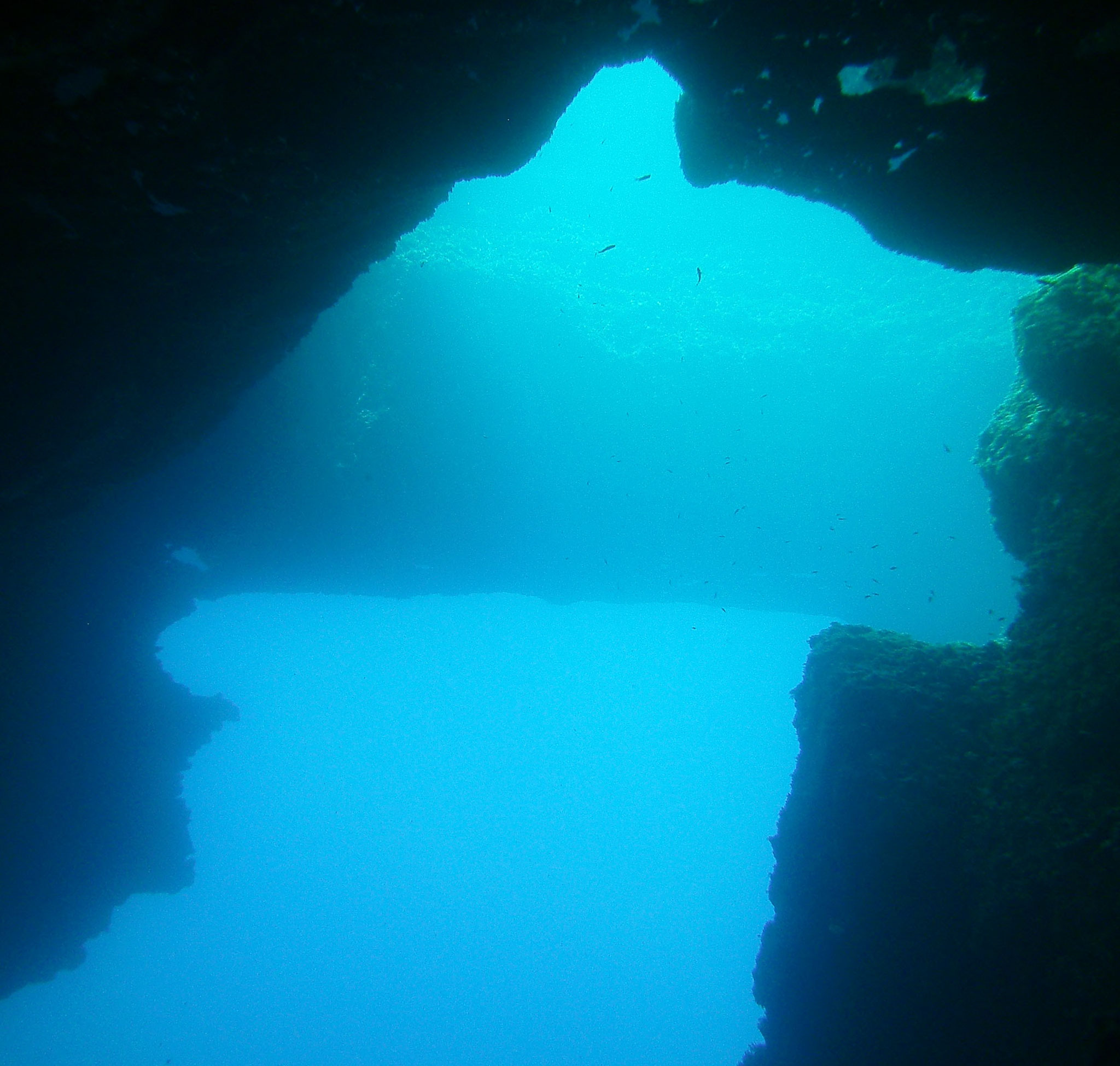 Scuba Active  Gozo 2022 Diving Holiday.  absolutely beautiful places to dive!